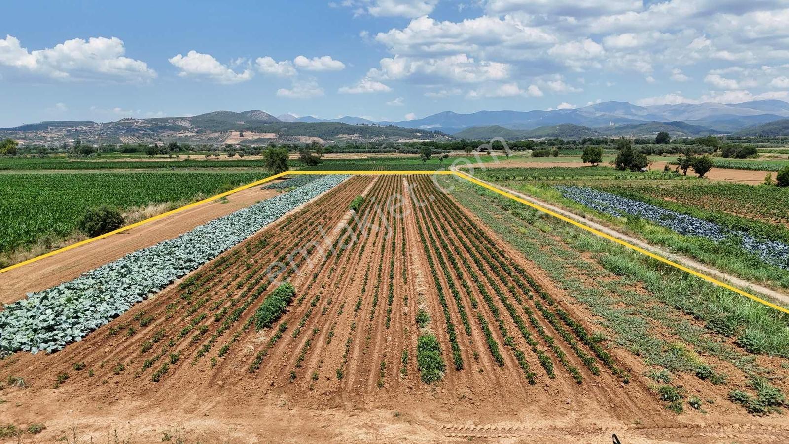 Bozüyük(güzelköy) Gökpınar Arasında 5.722 M2 Nefis Bir Arazi - Görsel 19