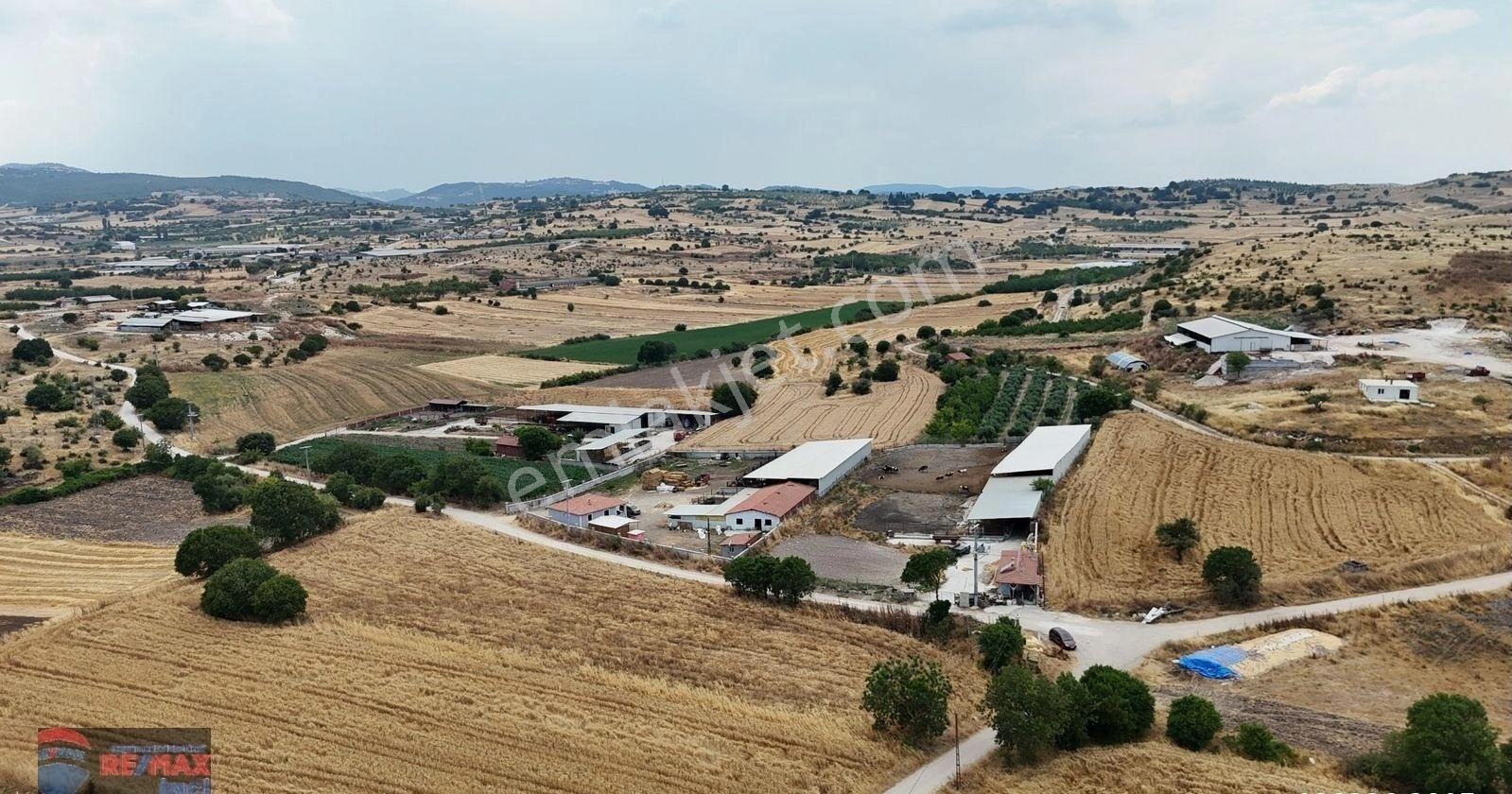 Re/max İnci'den Pamukçu'da Satılık Çiftlik Altyapılı Tarla - Görsel 28