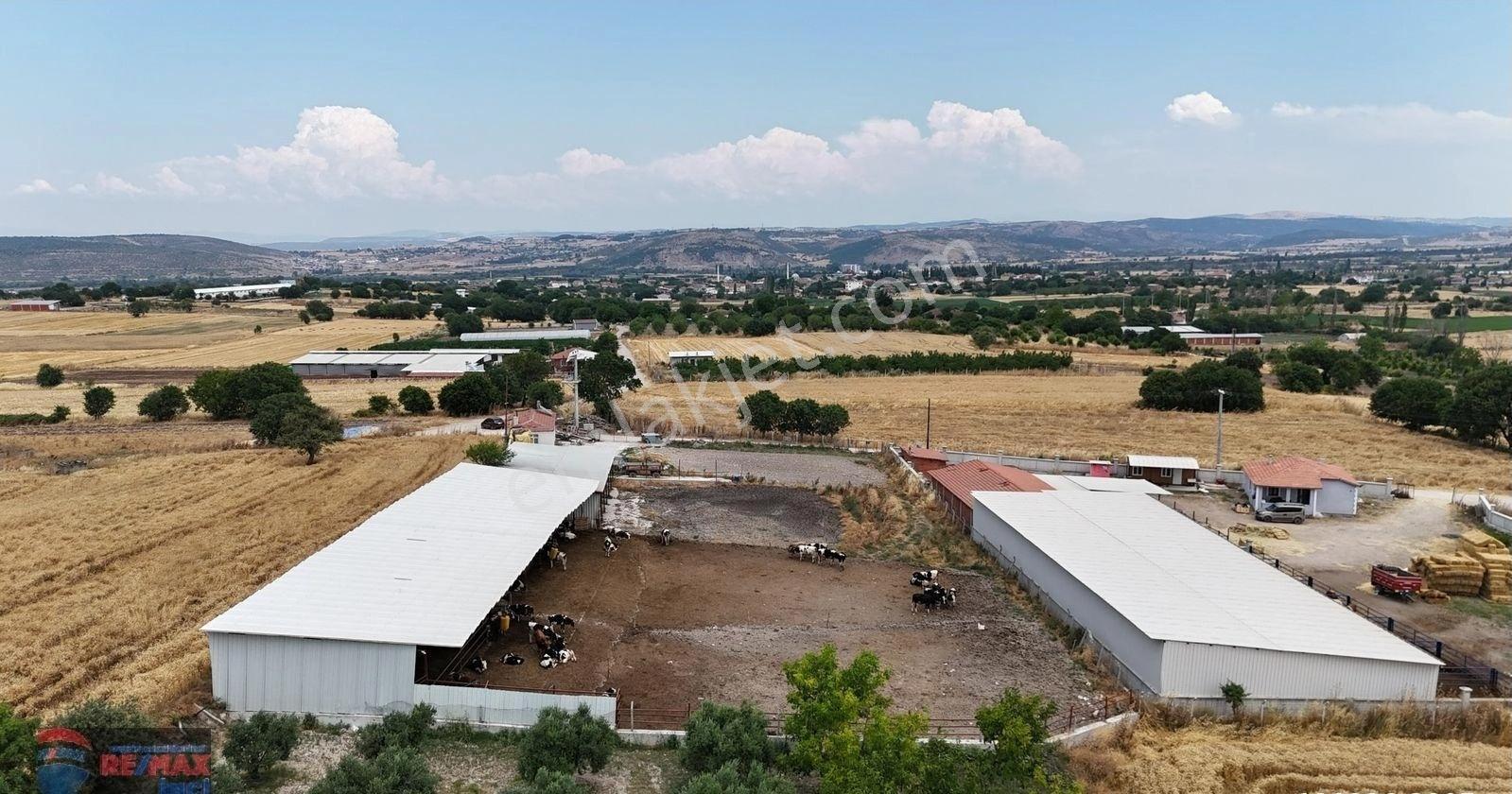Re/max İnci'den Pamukçu'da Satılık Çiftlik Altyapılı Tarla - Görsel 18
