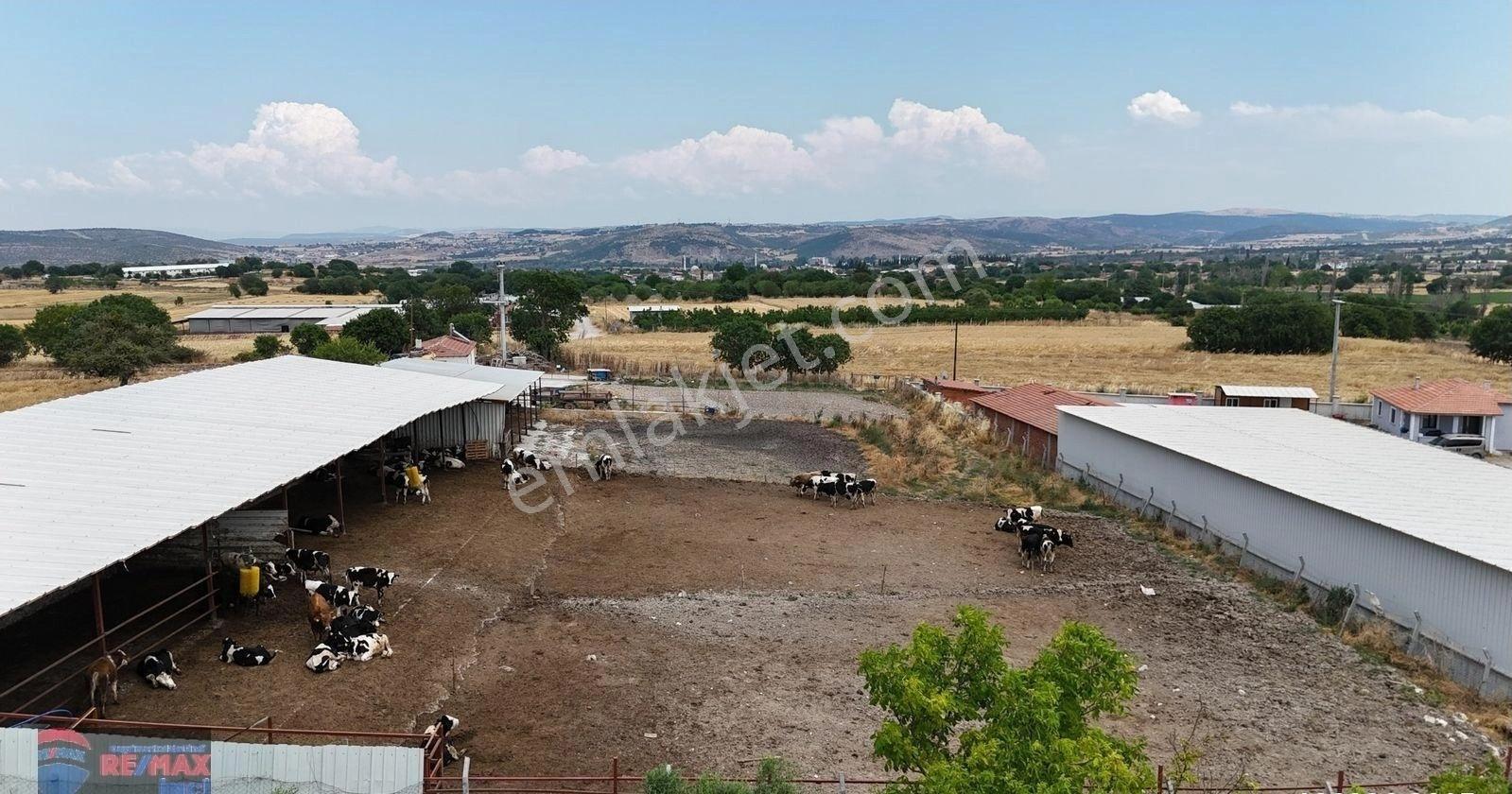 Re/max İnci'den Pamukçu'da Satılık Çiftlik Altyapılı Tarla - Görsel 19