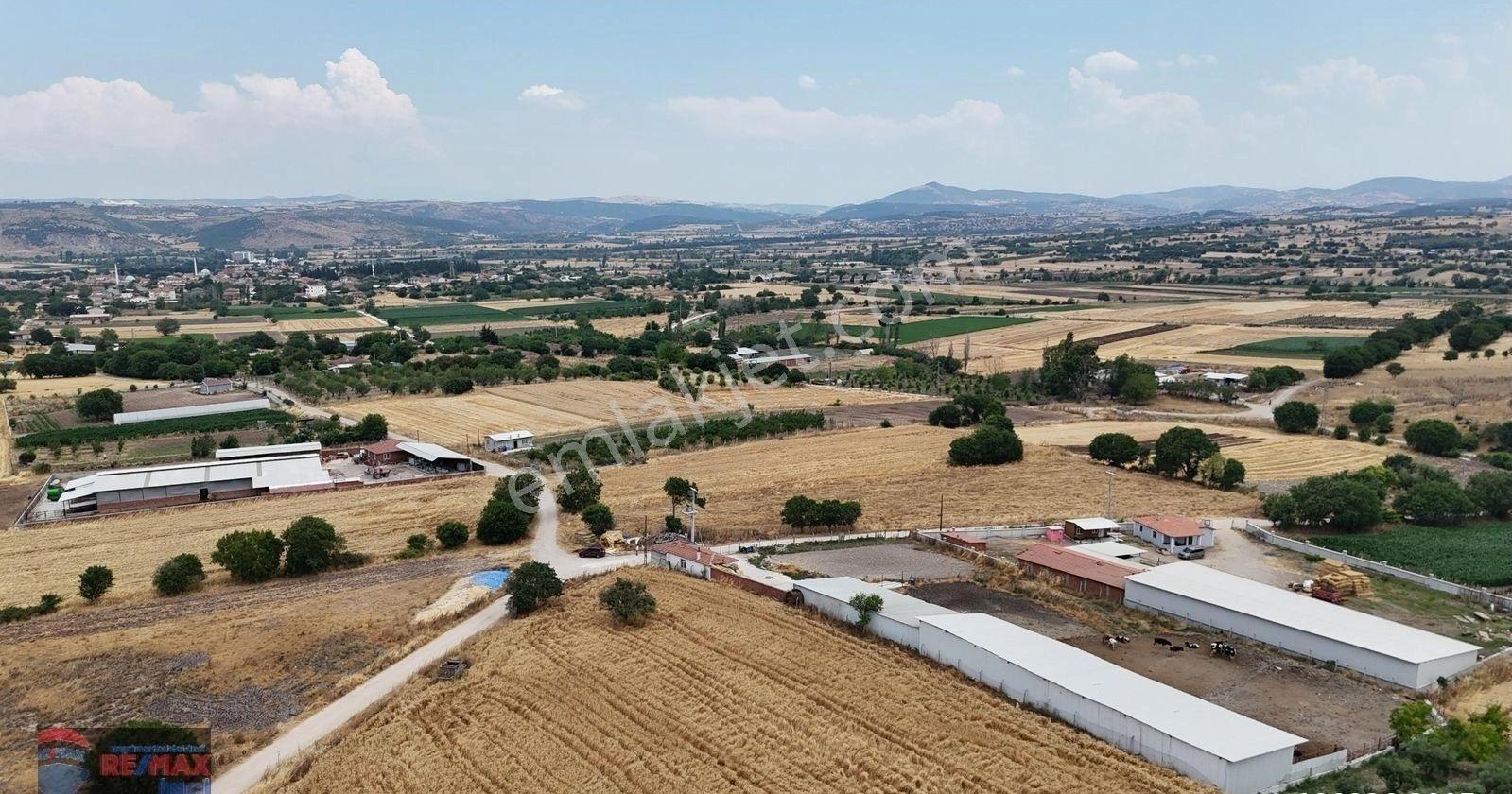 Re/max İnci'den Pamukçu'da Satılık Çiftlik Altyapılı Tarla - Görsel 11