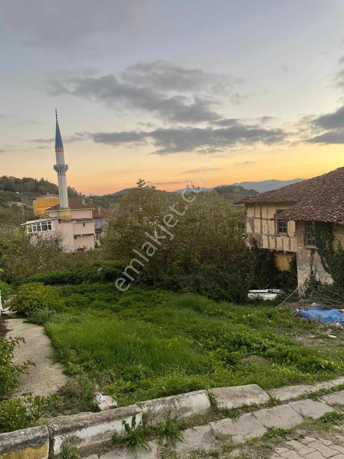 Ağvanın Yükselen Değeri Bucaklı'da İmarlı Tepekonum Şahane