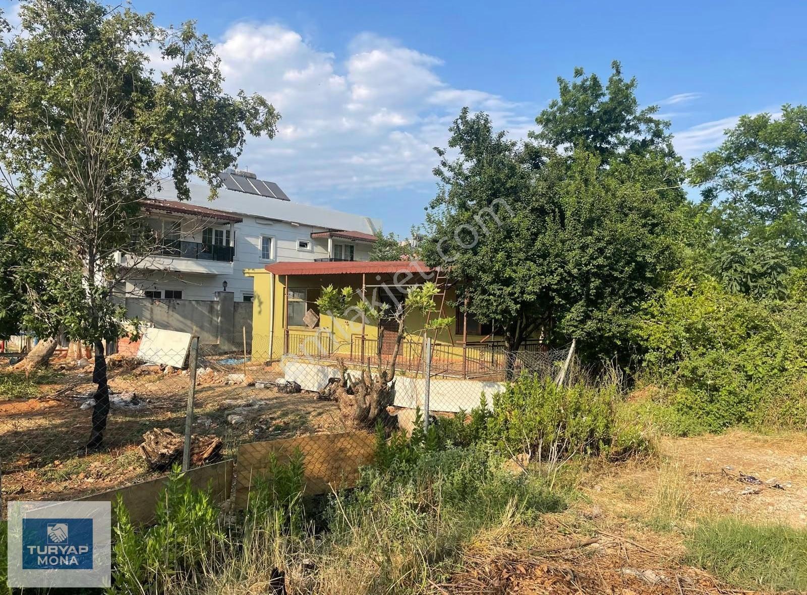 Yalınlı Mahallesi - Görsel 8