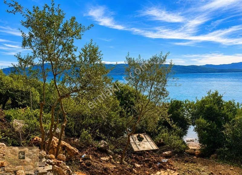 Akbük/fadılcada Denize Sıfır Müstakil Tapulu Emsalsiz Arazi - Görsel 4