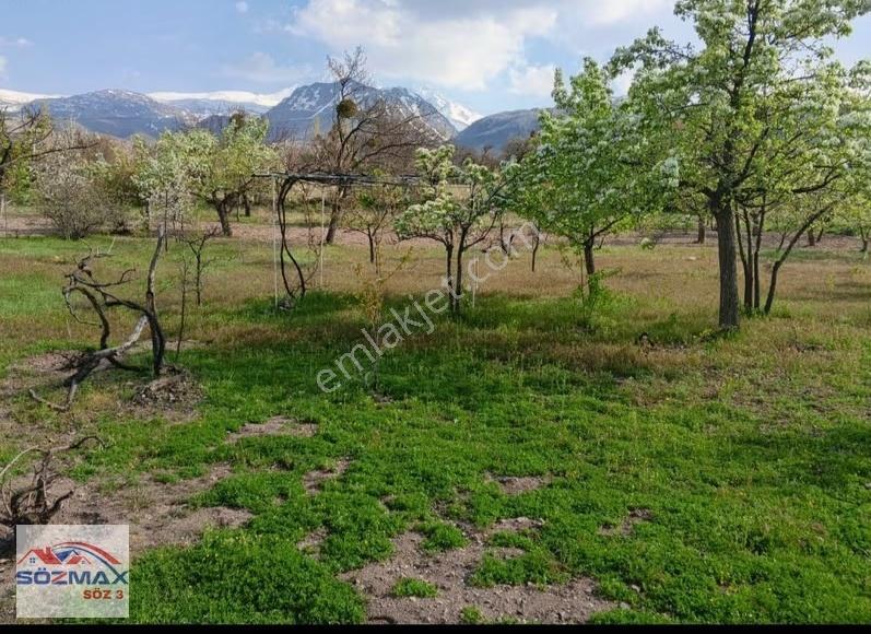 Hacılar Beğendik'te Mükemmel Konumlu Manzaralı Satılık Bağ - Görsel 9