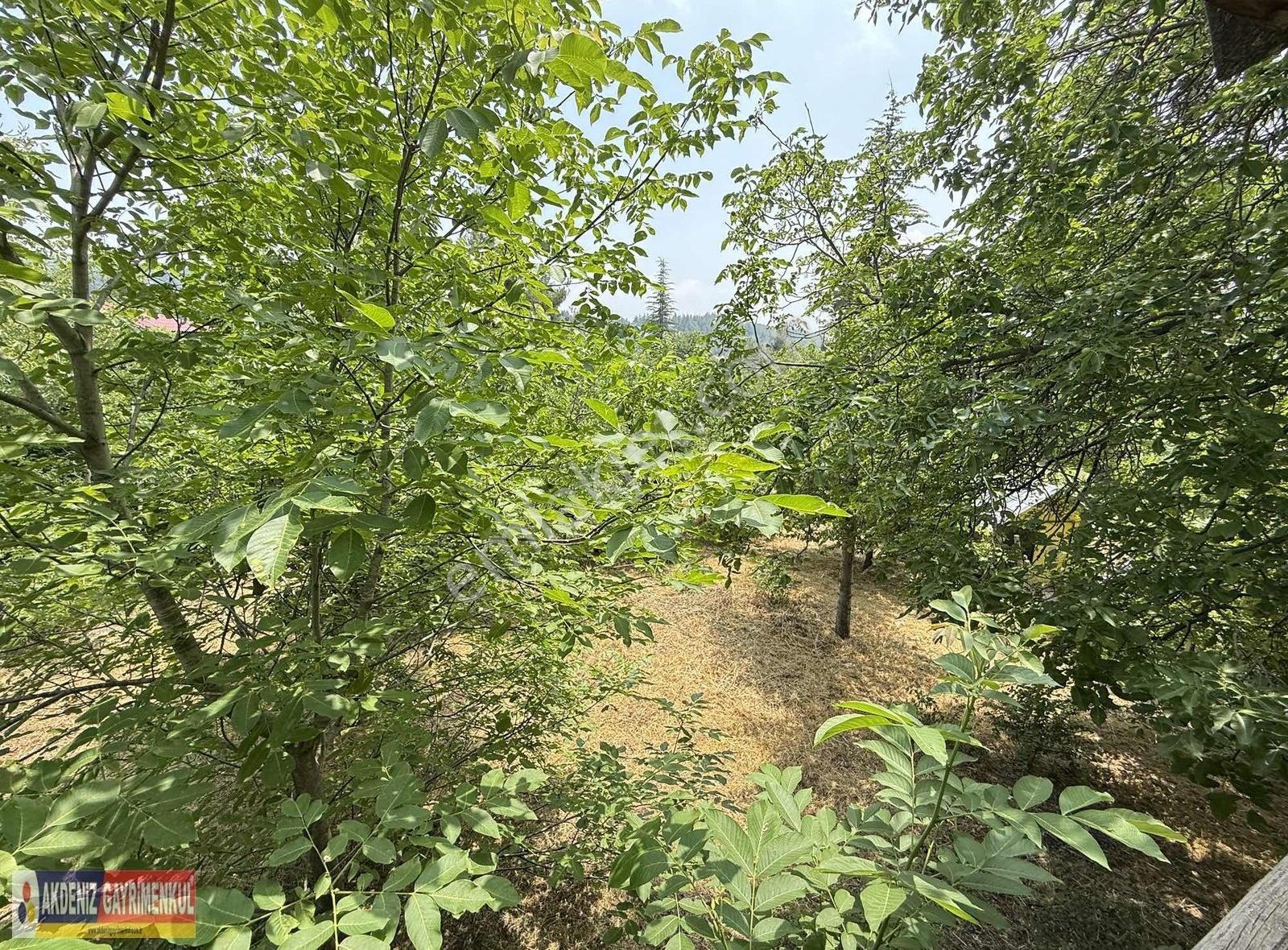 Çamlıyayla'da 1.000m2 Arsa İçerisinde Şömineli 6+1 Tripleks - Görsel 8