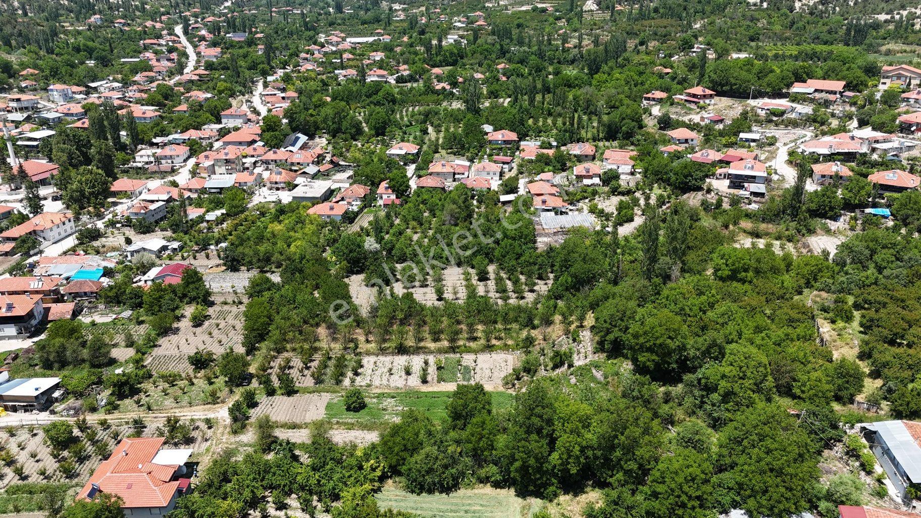 Korkuteli Sülekler Mahallesinde Köy İçi Bahçe - Görsel 7
