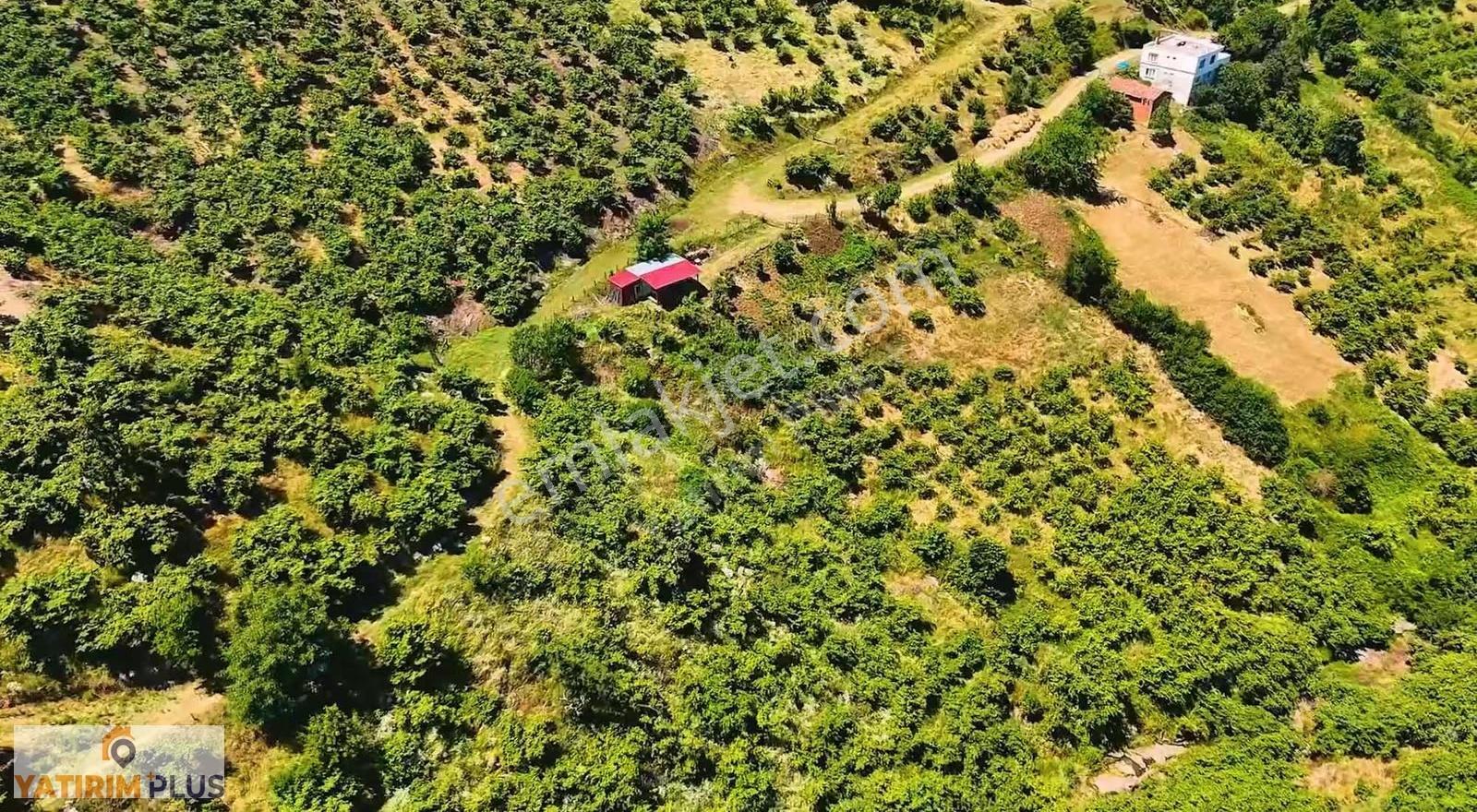 Yatırım Plus'tan Atakumun En Ucuz Fiyatlı Ev Yapılabilir Parsel - Görsel 16