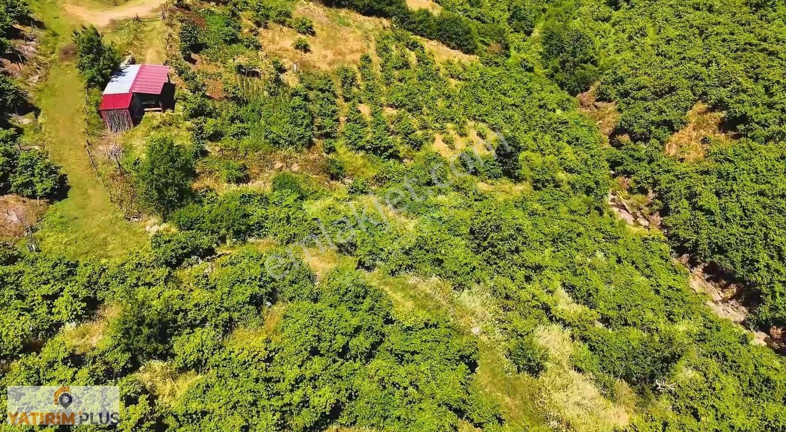 Yatırım Plus'tan Atakumun En Ucuz Fiyatlı Ev Yapılabilir Parsel - Görsel 10
