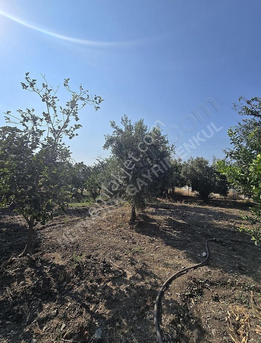 Hatay Arsuz Diva Otel Karşısı Satılık İmarlı Arsalar - Görsel 13