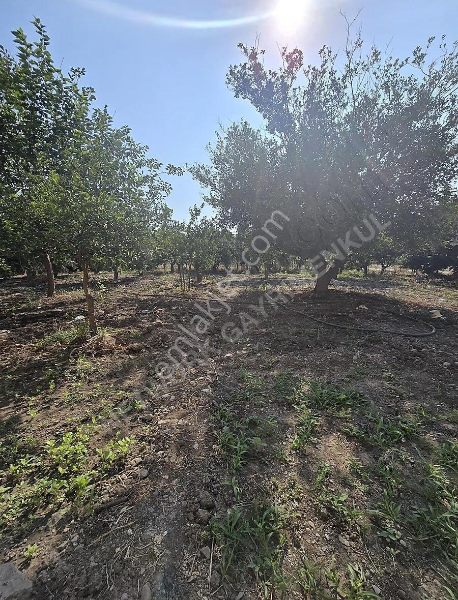 Hatay Arsuz Diva Otel Karşısı Satılık İmarlı Arsalar - Görsel 15