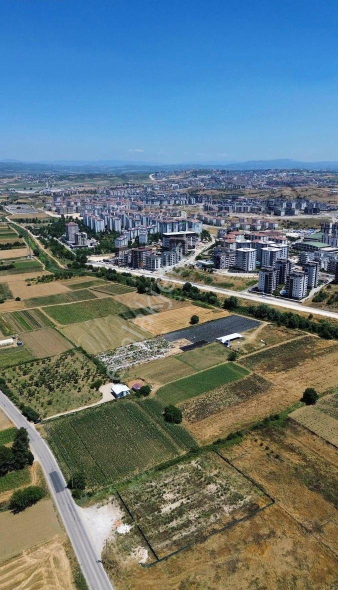 Özdemirden Hasanağada İmar Dibinde Fırsat Parçalar - Görsel 11