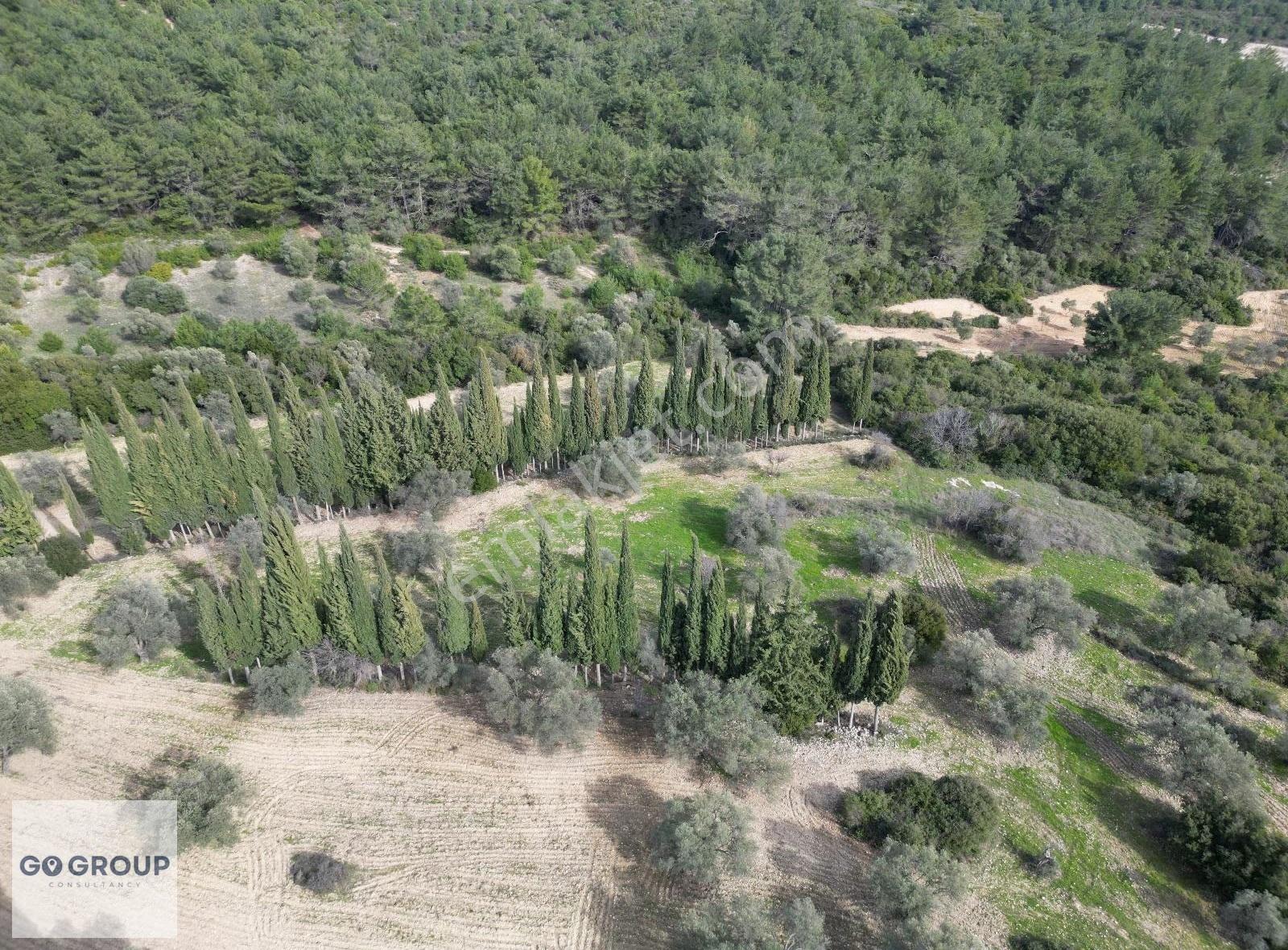 Urla Camiatik Mahallesinde Benzersiz Konumda 17.513 M² Arazi - Görsel 5