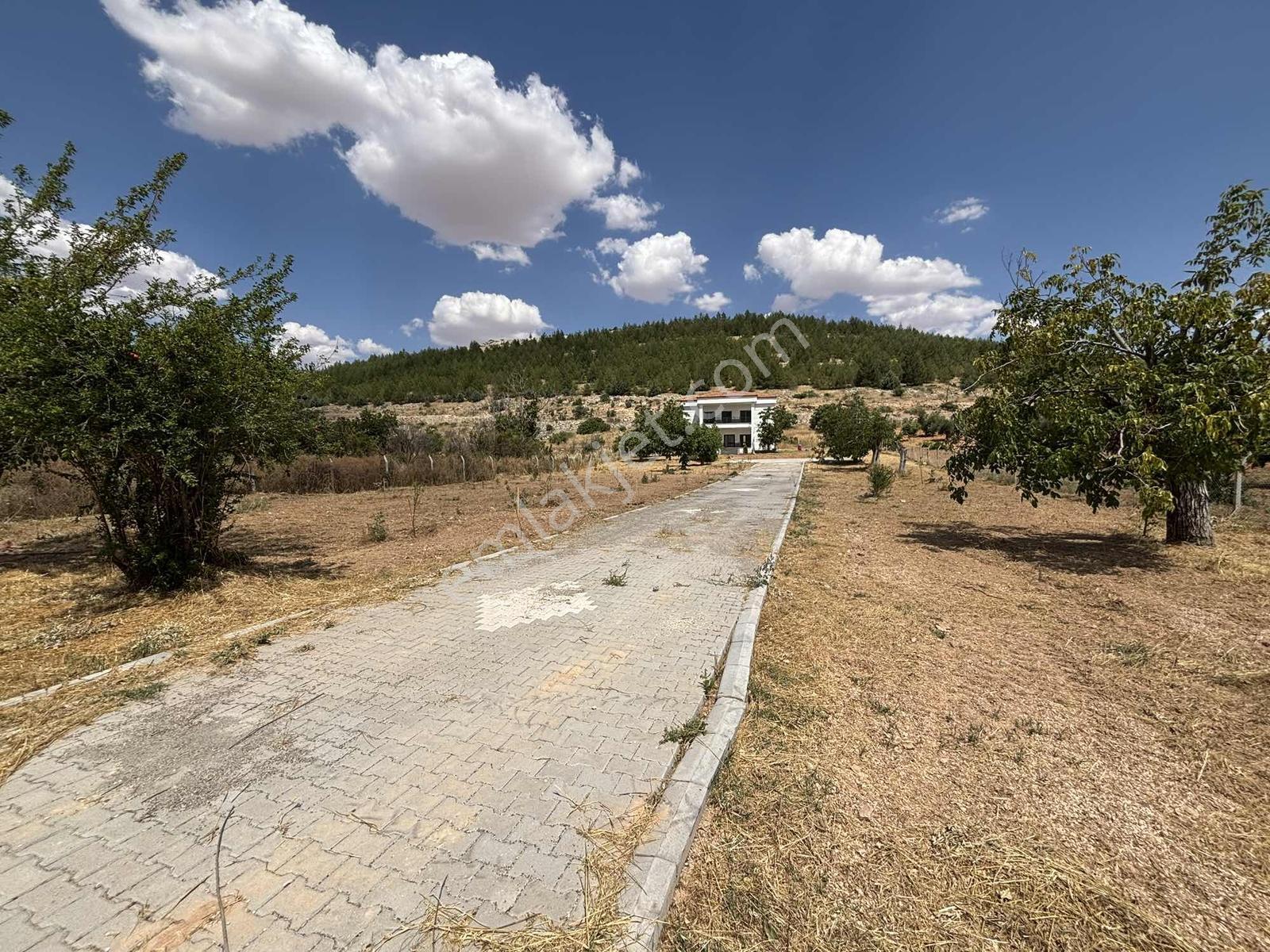 Ormanın Eteğinde 3,500m2 Lüks 4+1 Villa - Görsel 3