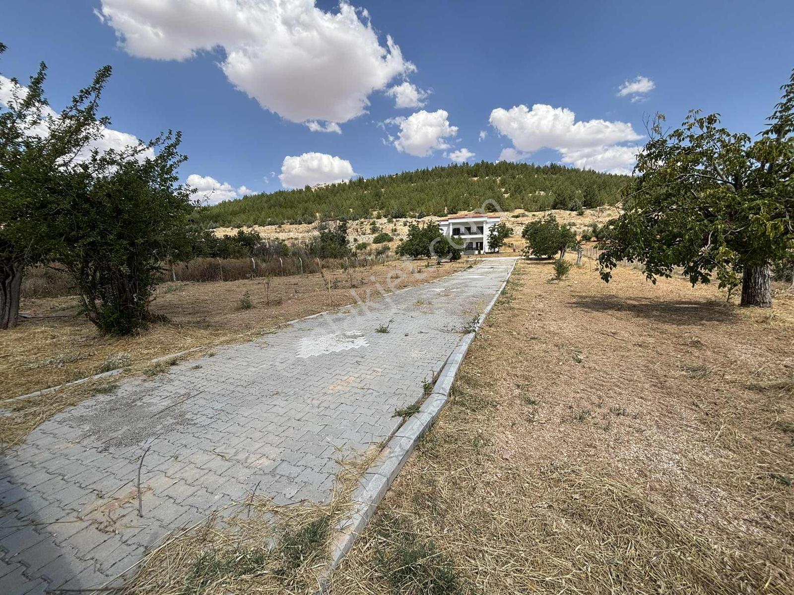 Ormanın Eteğinde 3,500m2 Lüks 4+1 Villa - Görsel 2
