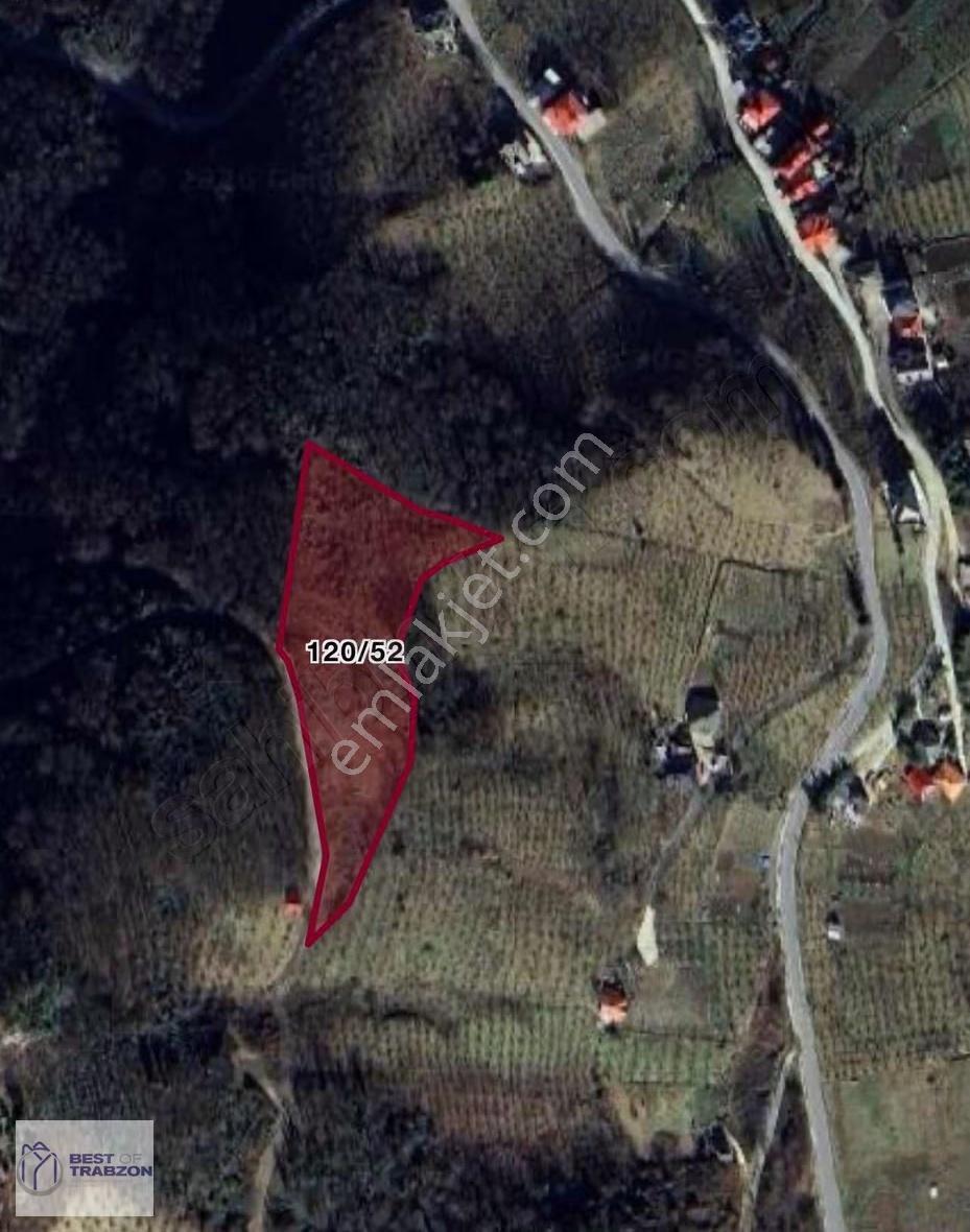 Ağıllı Mahallesi Trabzon Doğa Deniz Manzaralı Yatırımlık Arsa - Görsel 6