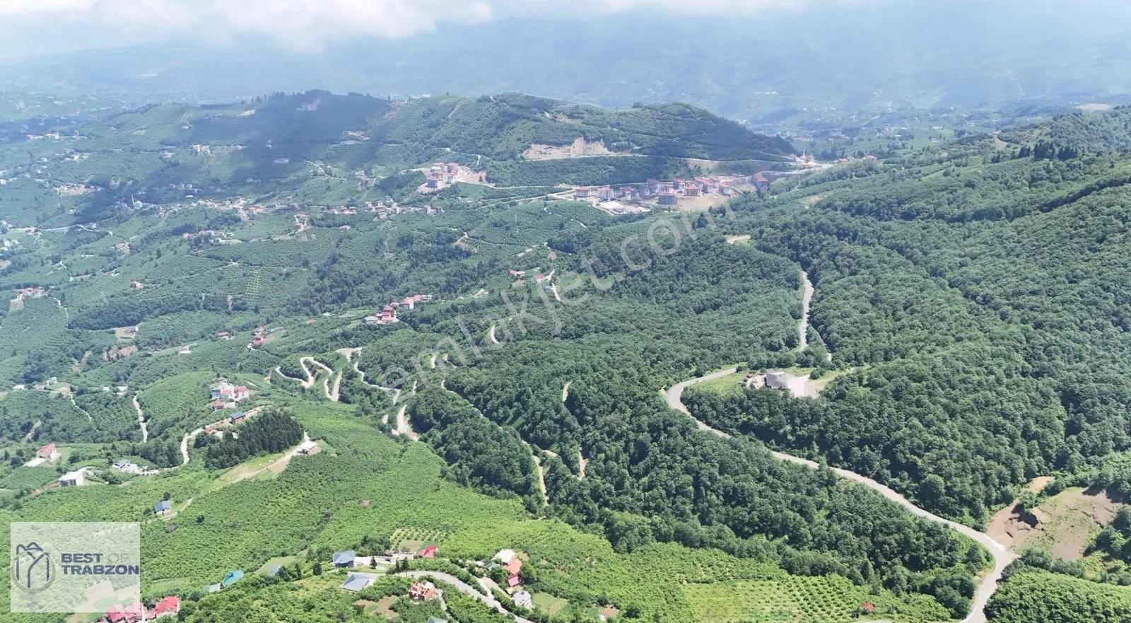 Ağıllı Mahallesi Trabzon Doğa Deniz Manzaralı Yatırımlık Arsa - Görsel 2