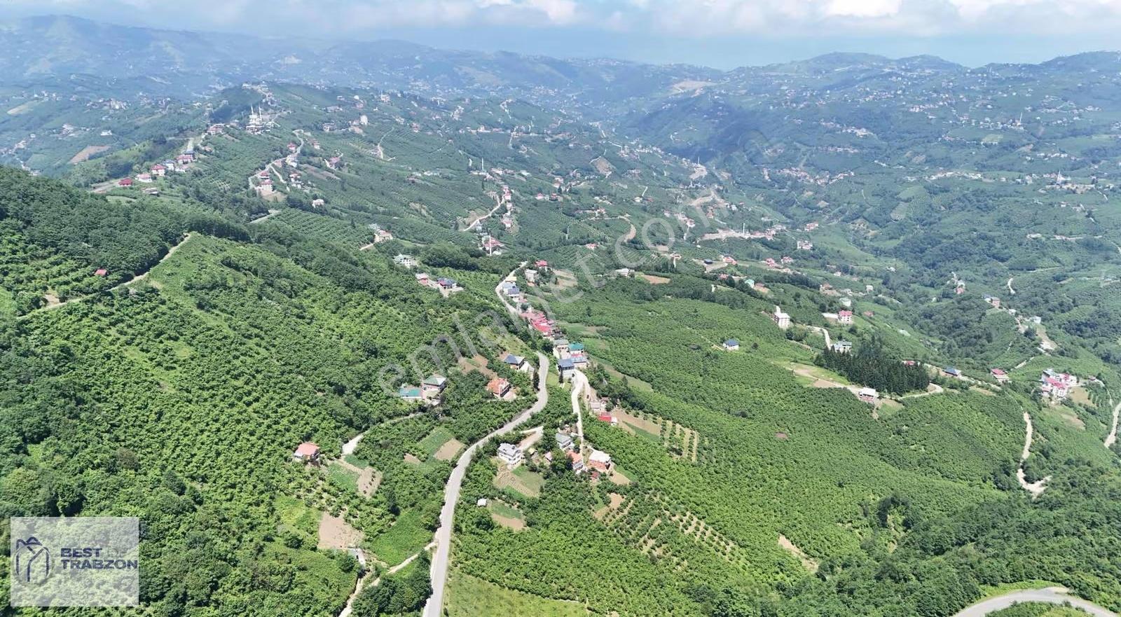 Ağıllı Mahallesi Trabzon Doğa Deniz Manzaralı Yatırımlık Arsa