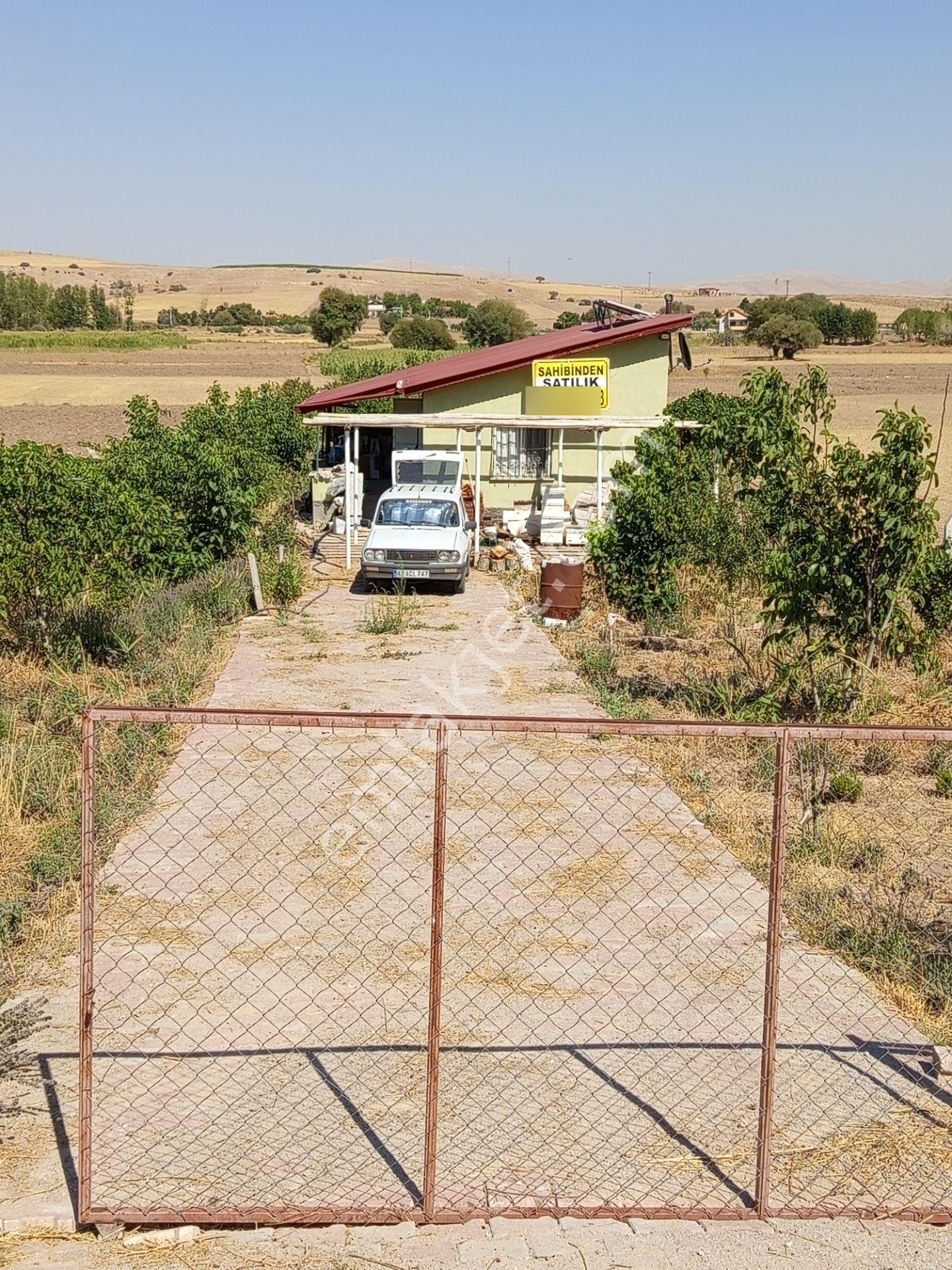 Meram Botsa'da Eşi Benzeri Zor Bulunan Kurulu Düzen Bahçe (şeker Suyu Oruçpınar Yolu Üzerinde) - Görsel 19