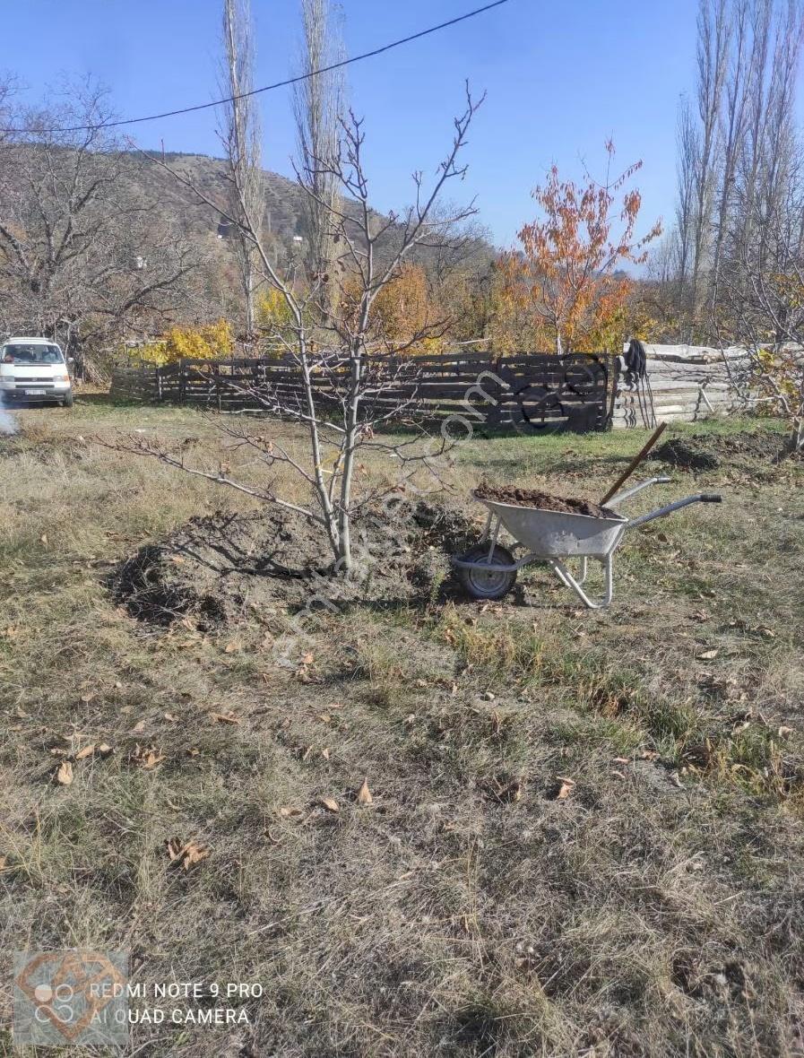 Kuzyaka Mh De Satılık Müstakil 2 Parsel Bağ Evi Ve Bahçesi - Görsel 4