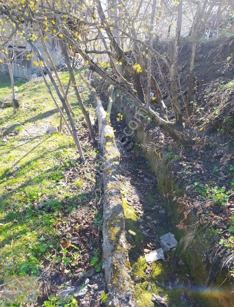 Kuzyaka Mh De Satılık Müstakil 2 Parsel Bağ Evi Ve Bahçesi - Görsel 14