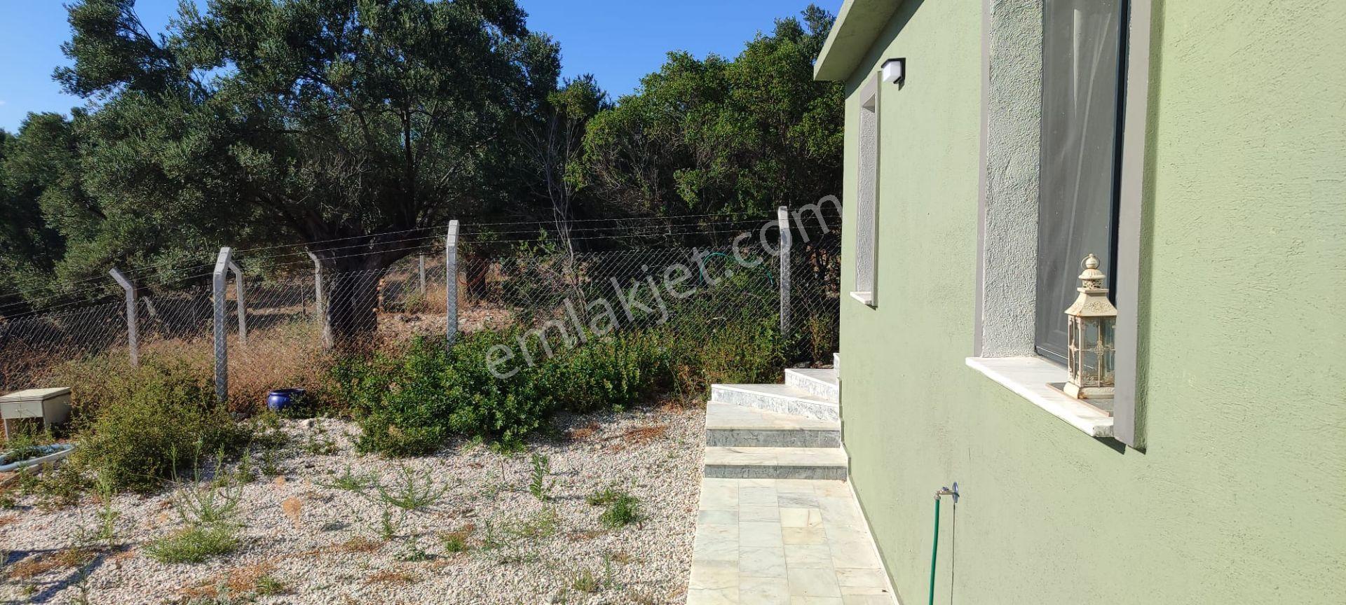 Ayvalık Küçükköy'de Deniz Manzaralı Satılık 5499m² Zeytinlik - Görsel 8