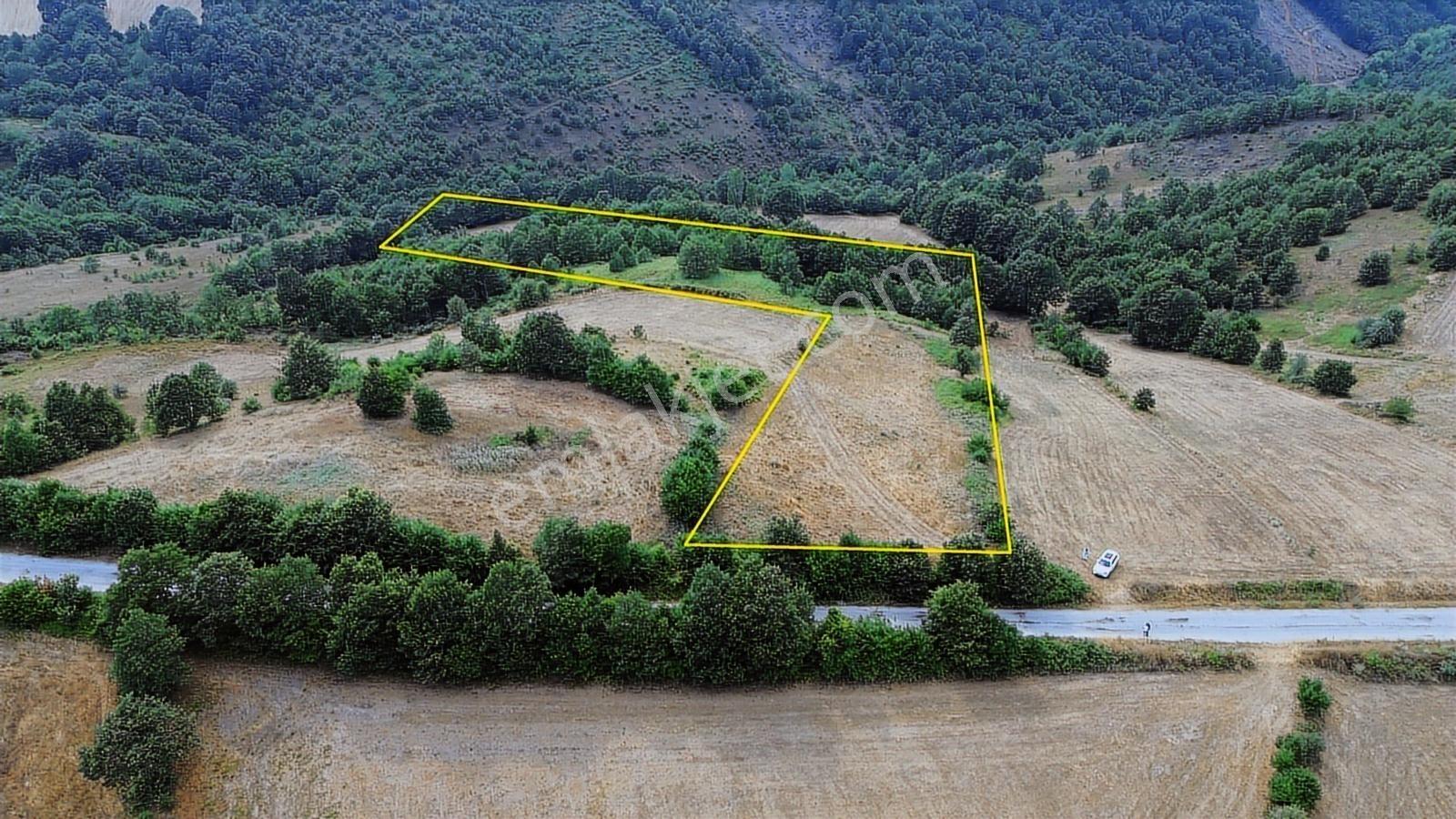 Biga Dikmen Köyünde 14 Dönüm Ana Yola Cephe Satılık Tarla - Görsel 6