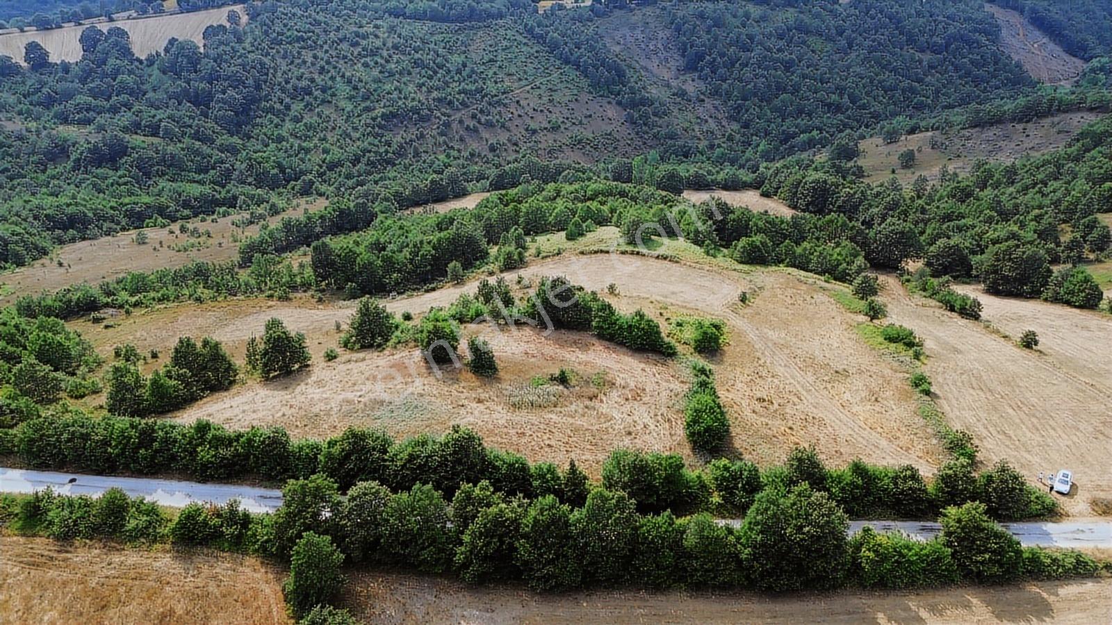Biga Dikmen Köyünde 14 Dönüm Ana Yola Cephe Satılık Tarla - Görsel 7