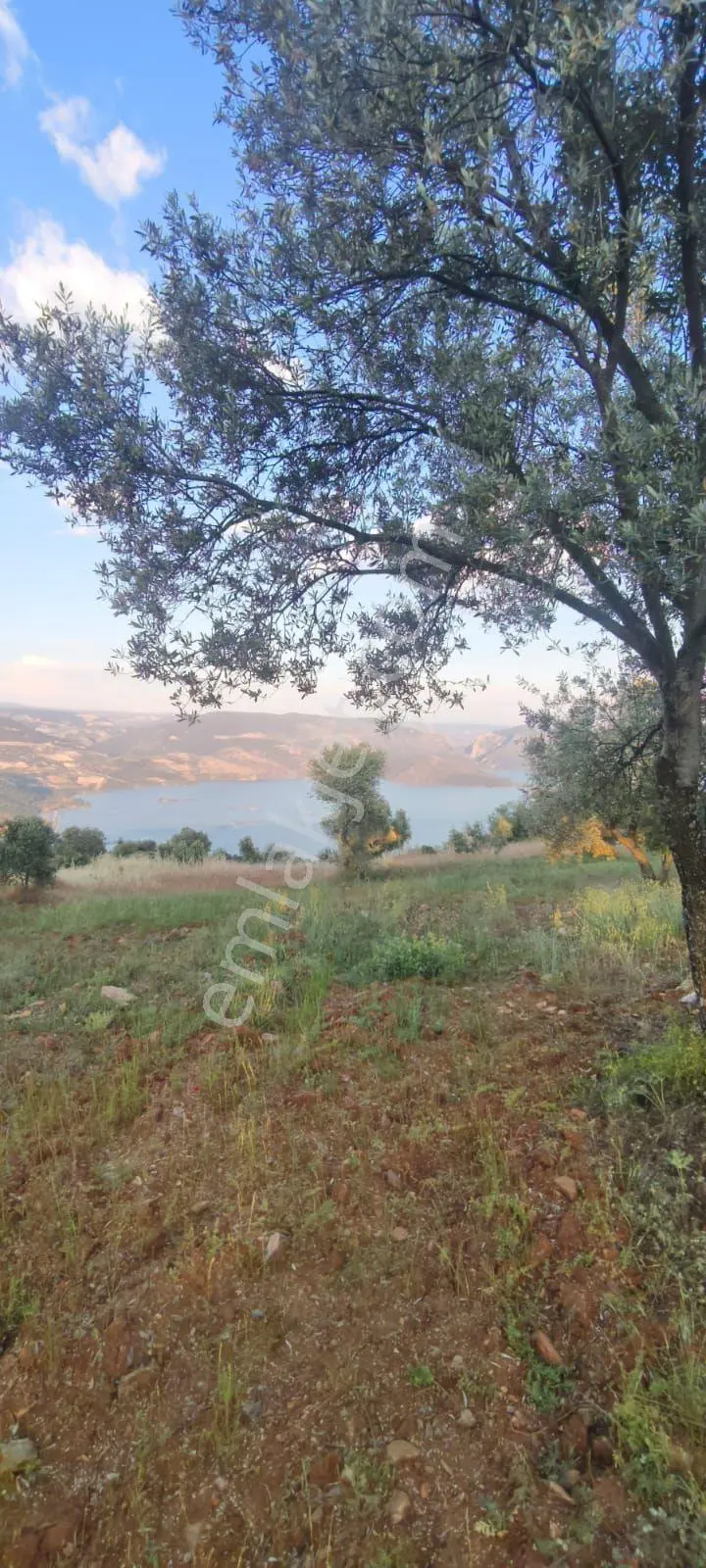 Bozdogan Kızıltepe Köyünde Satılık Bahçe - Görsel 2