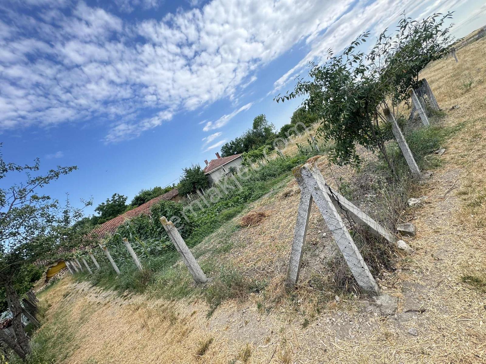 Vize Düzova Da 300 M² Köyiçi Arsamız Satışta - Görsel 3