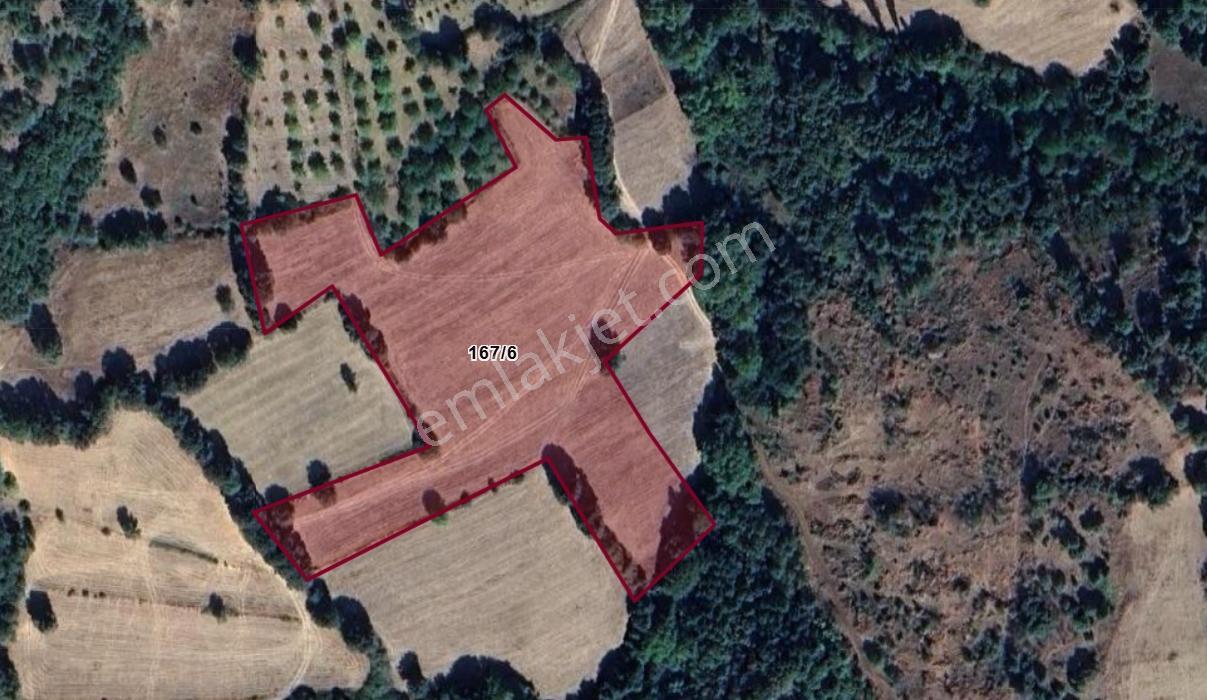 Mir'den Kepsut Gökköy'de 15.313 M2 Satılık Tarla - Görsel 4