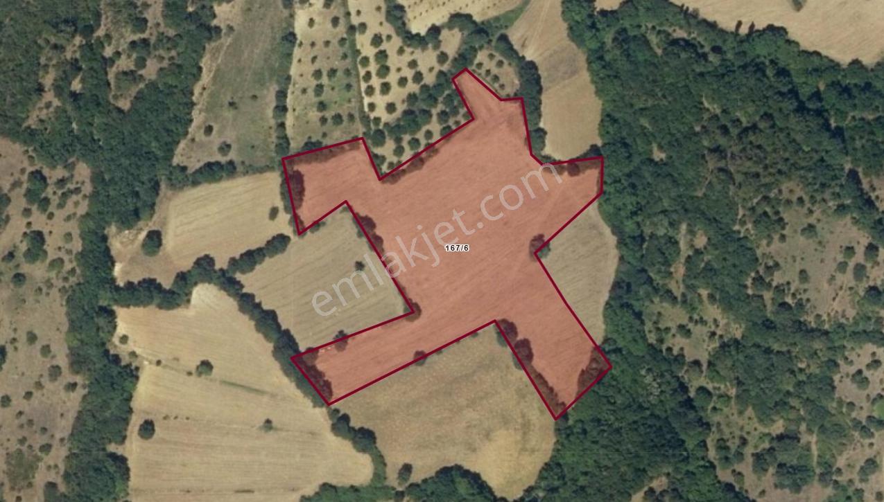 Mir'den Kepsut Gökköy'de 15.313 M2 Satılık Tarla - Görsel 6