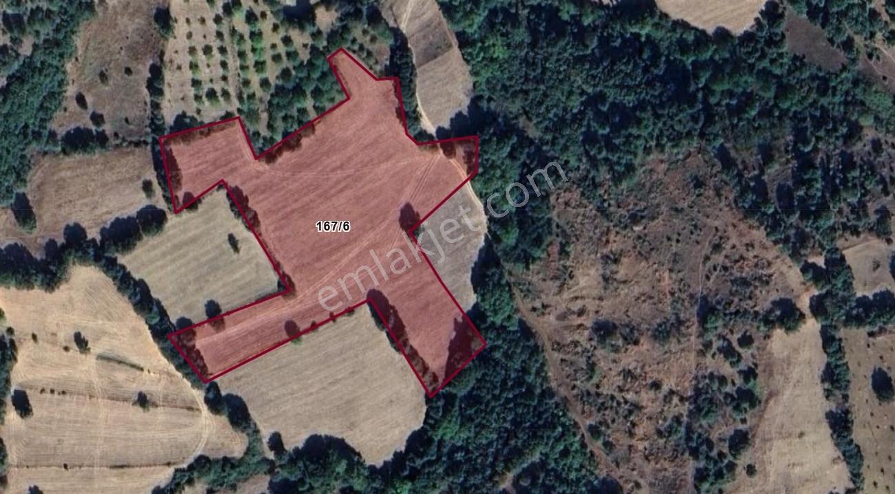 Mir'den Kepsut Gökköy'de 15.313 M2 Satılık Tarla - Görsel 12