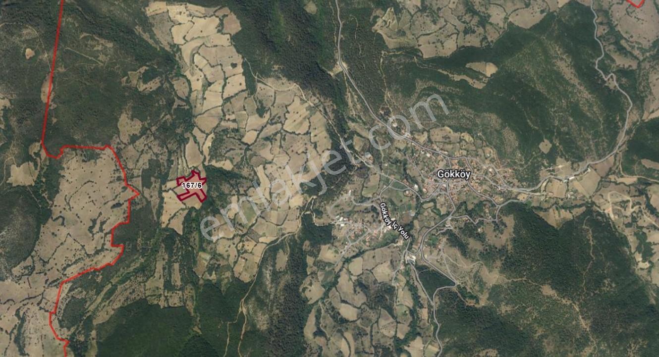 Mir'den Kepsut Gökköy'de 15.313 M2 Satılık Tarla - Görsel 7