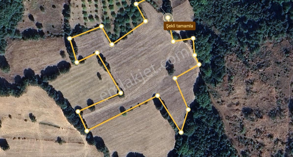Mir'den Kepsut Gökköy'de 15.313 M2 Satılık Tarla - Görsel 15