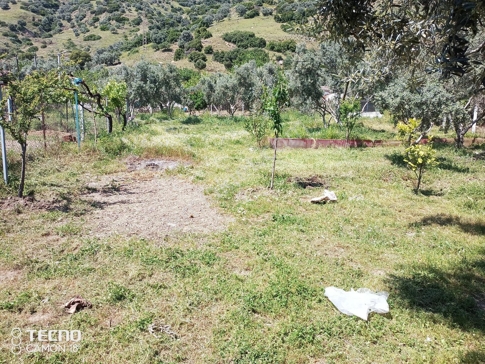 Aydın Satılık Müstakil 1600 Metrekare Bahçeli 2+1 - Görsel 26
