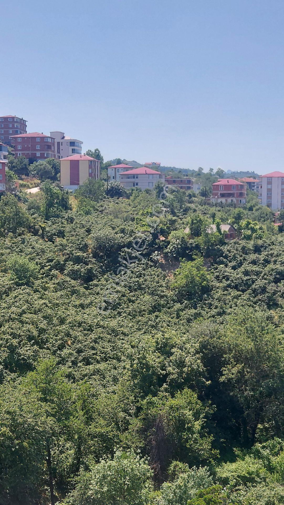 Wisrem'den Giresun Bulancak'ta İmarlı Fırsat Arsa - Görsel 55