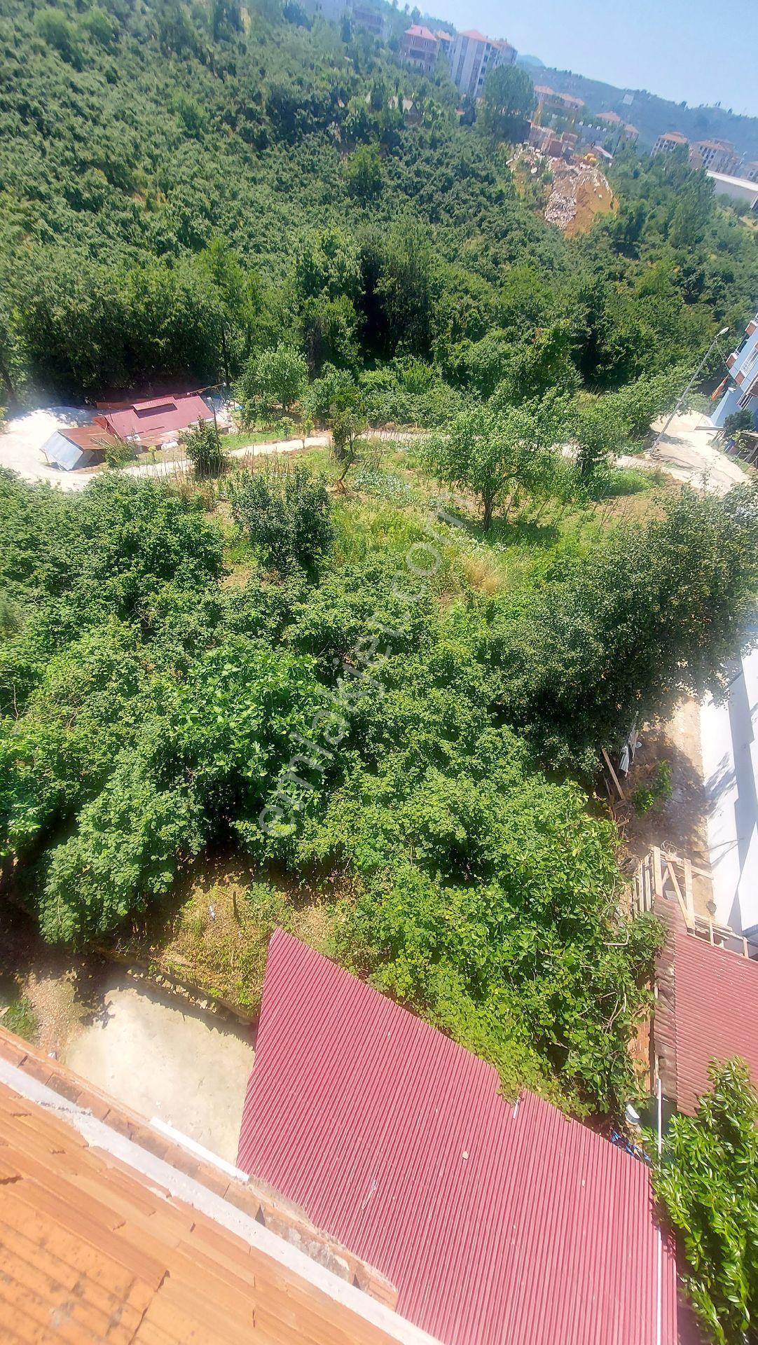 Wisrem'den Giresun Bulancak'ta İmarlı Fırsat Arsa - Görsel 29