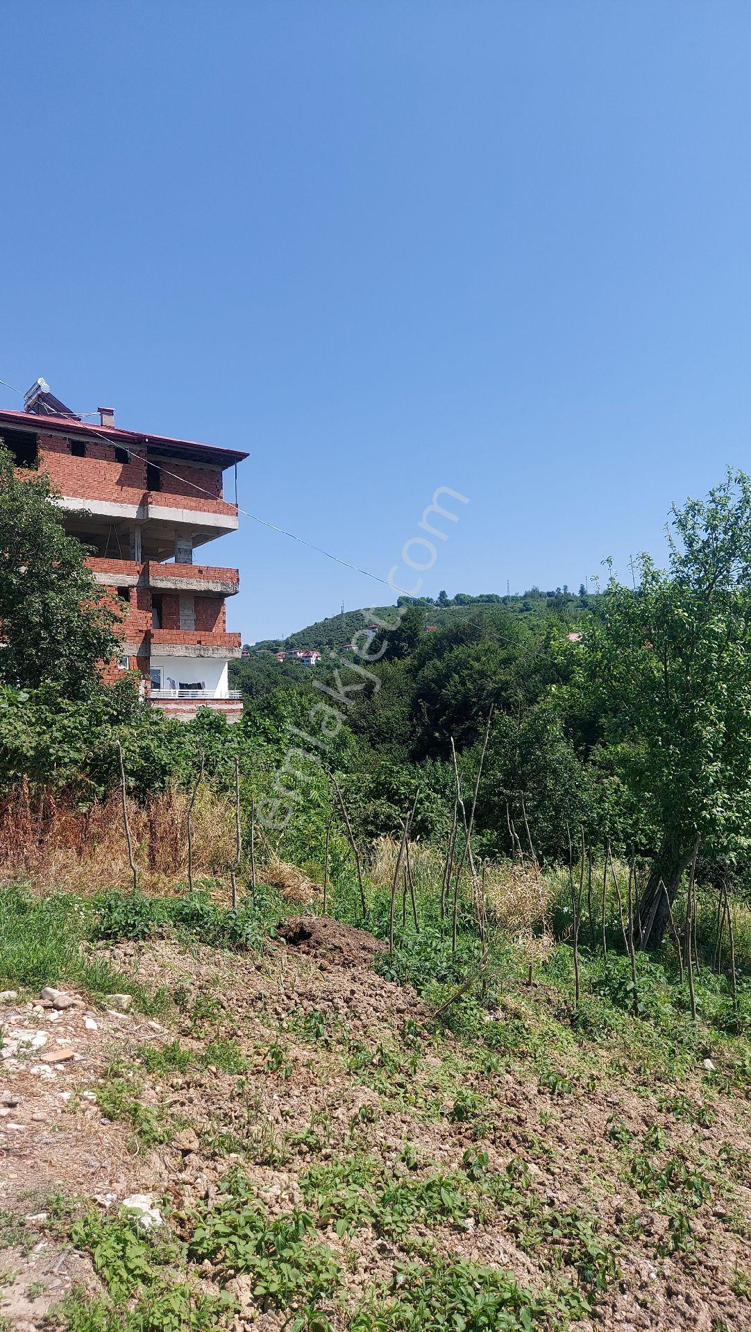 Wisrem'den Giresun Bulancak'ta İmarlı Fırsat Arsa - Görsel 9