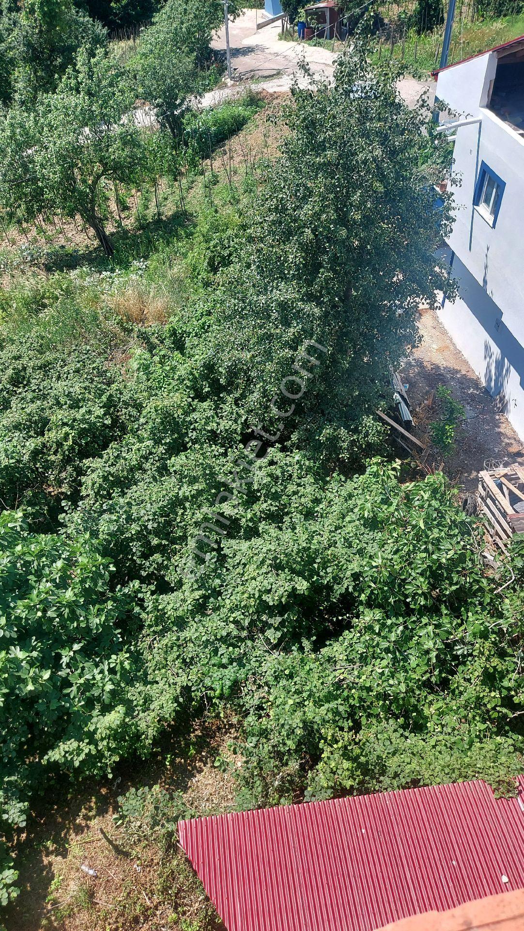 Wisrem'den Giresun Bulancak'ta İmarlı Fırsat Arsa - Görsel 32