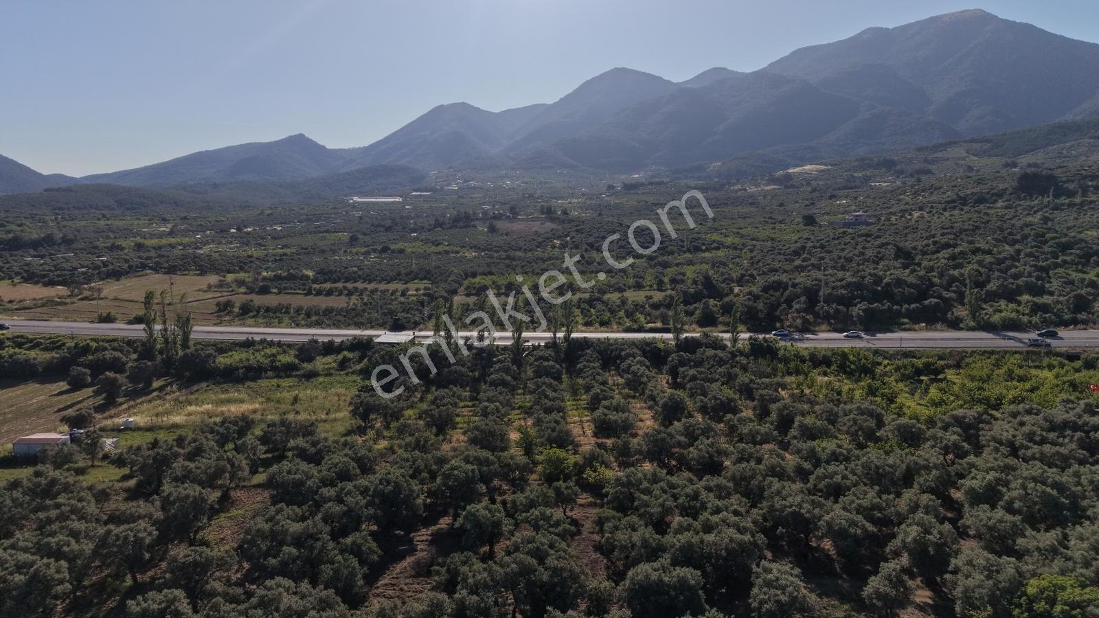 Vişneli'de Anayola Cepheli Yatırımlık Fırsat 10.941m² Bahçe - Görsel 7