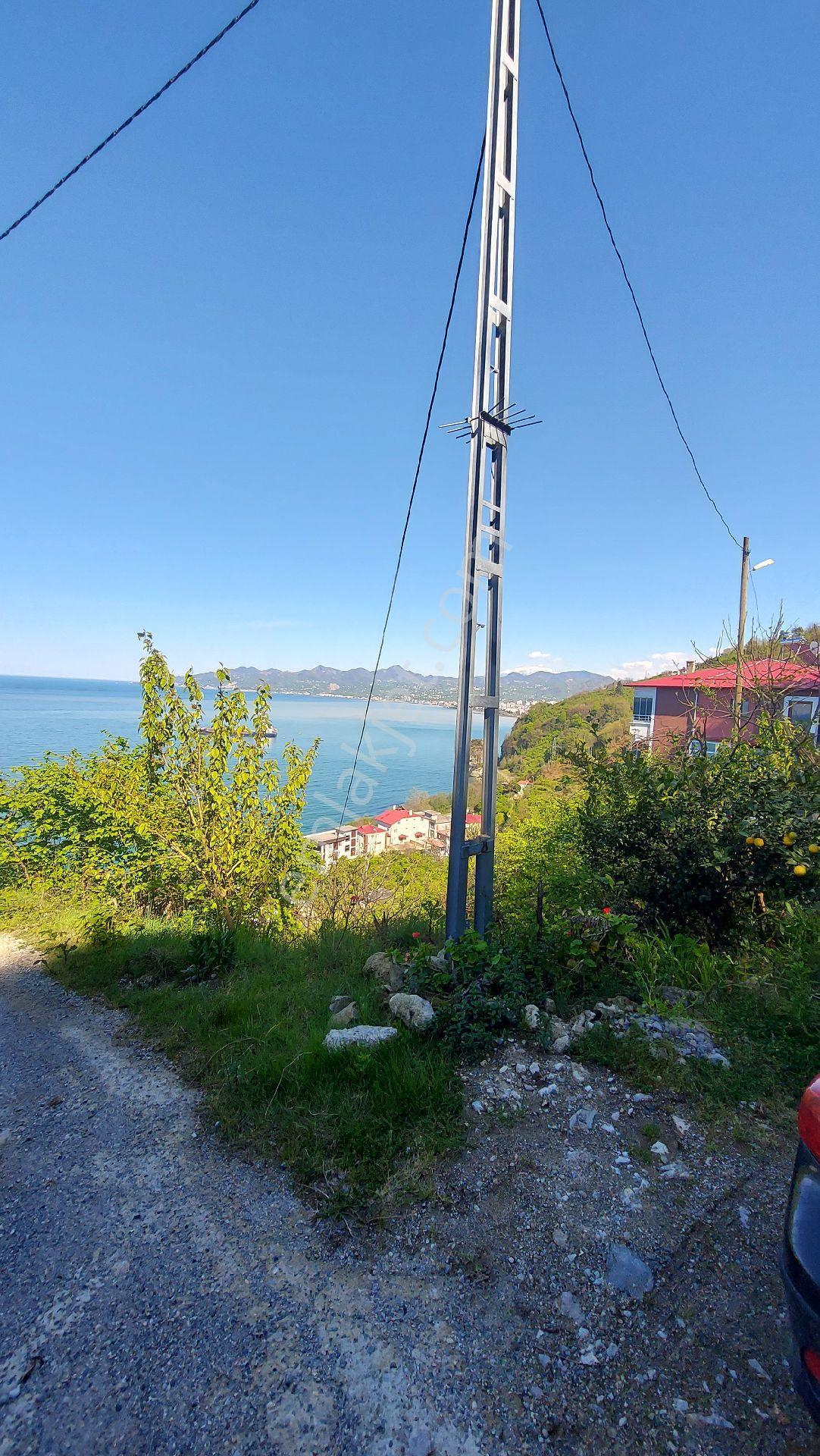 Wisrem'den Giresun Espiye Gülburnunda Muhteşem Manzaralı Arsa - Görsel 18