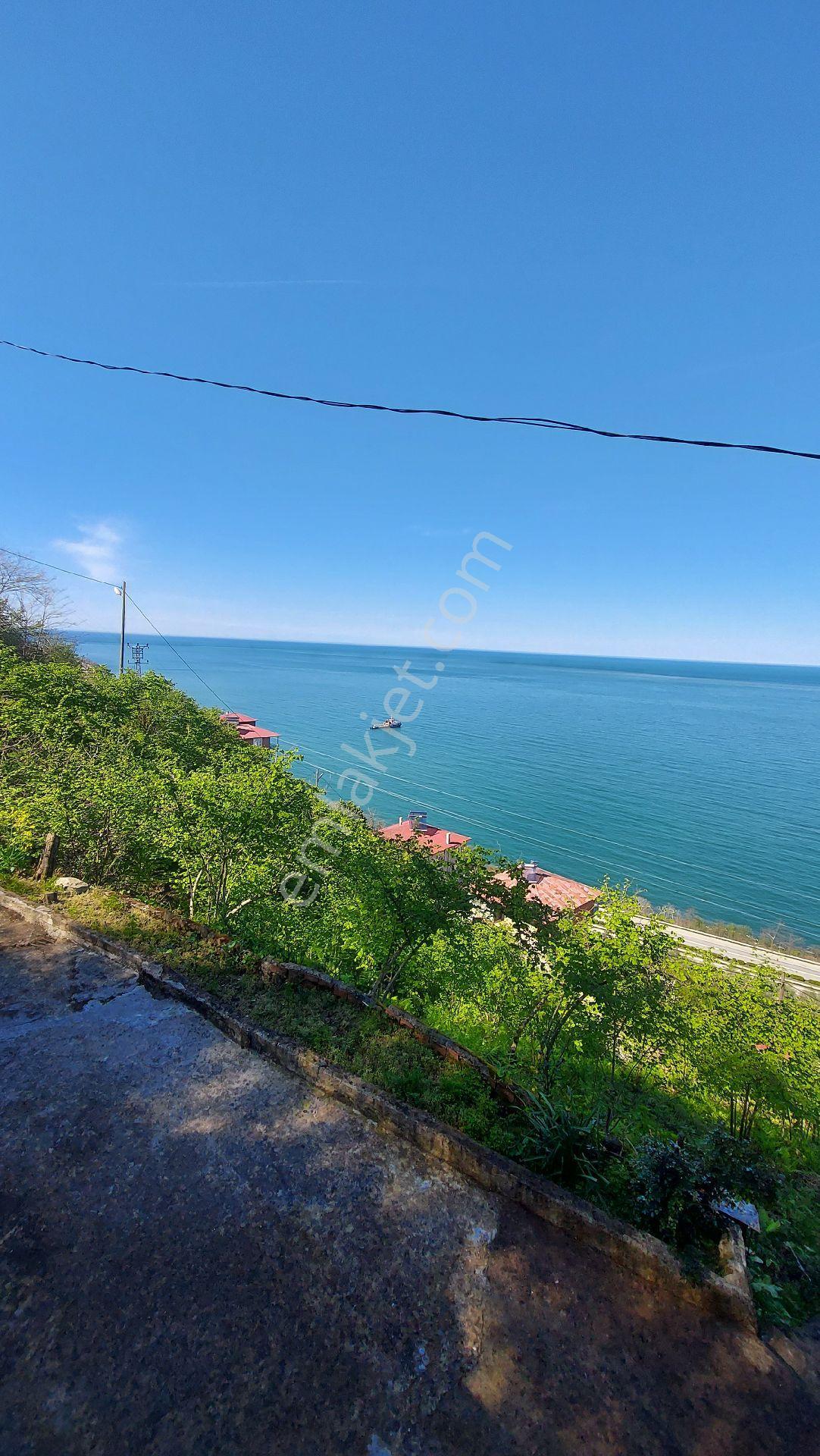 Wisrem'den Giresun Espiye Gülburnunda Muhteşem Manzaralı Arsa - Görsel 22