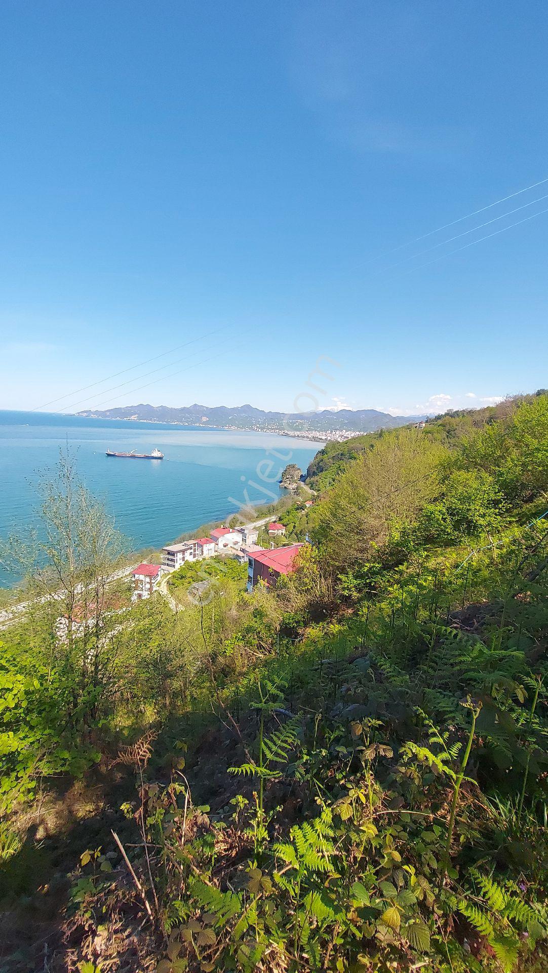 Wisrem'den Giresun Espiye Gülburnunda Muhteşem Manzaralı Arsa - Görsel 45