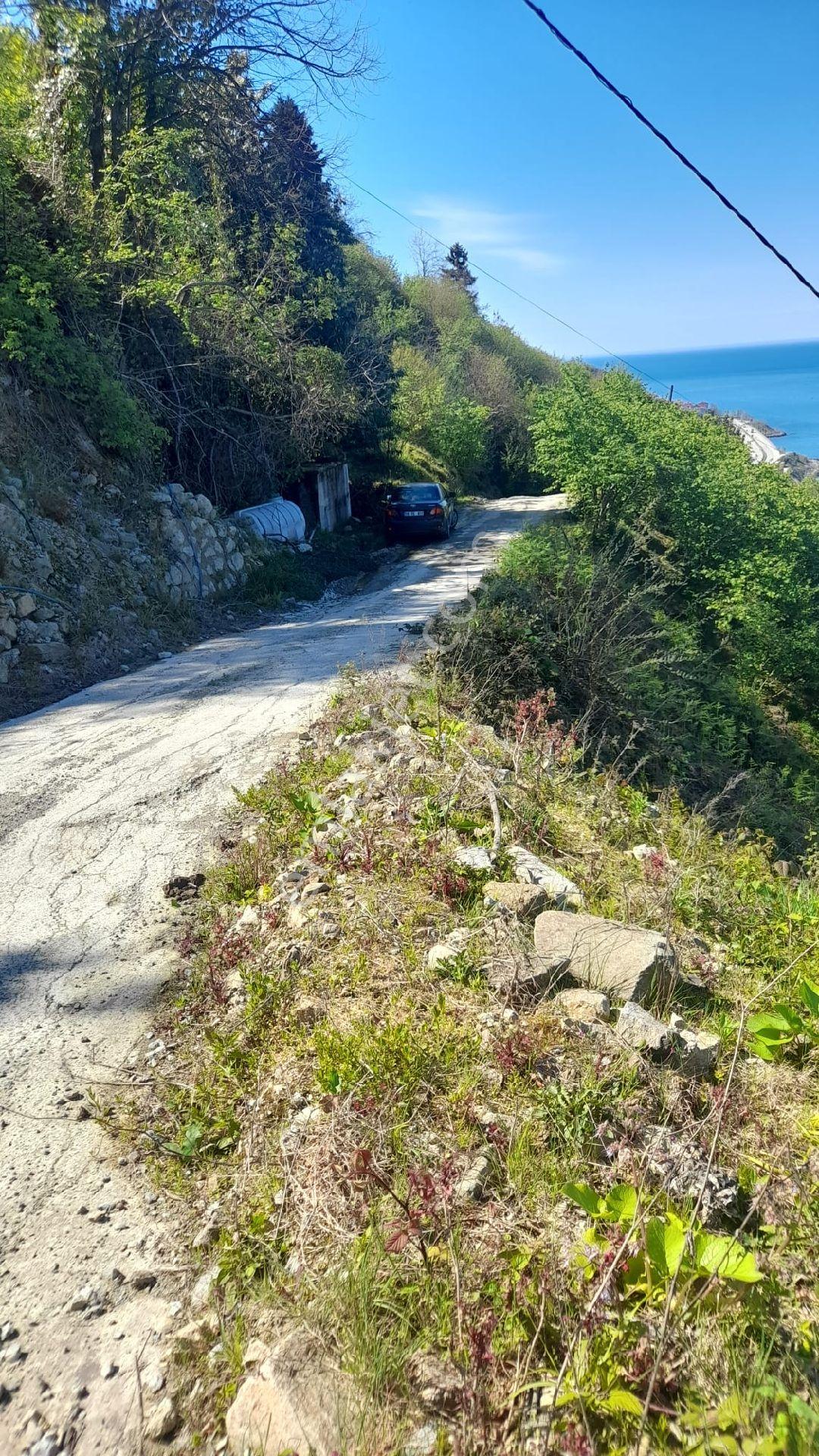 Wisrem'den Giresun Espiye Gülburnunda Muhteşem Manzaralı Arsa - Görsel 12