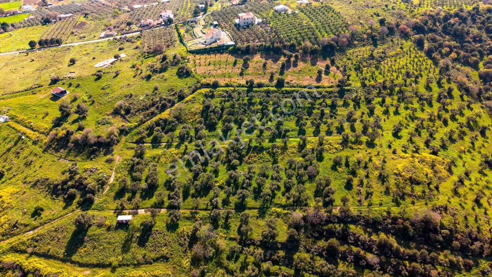 Yenifoça Satılık Villa Bölgesinde Yatırımlık Arazi - Görsel 14
