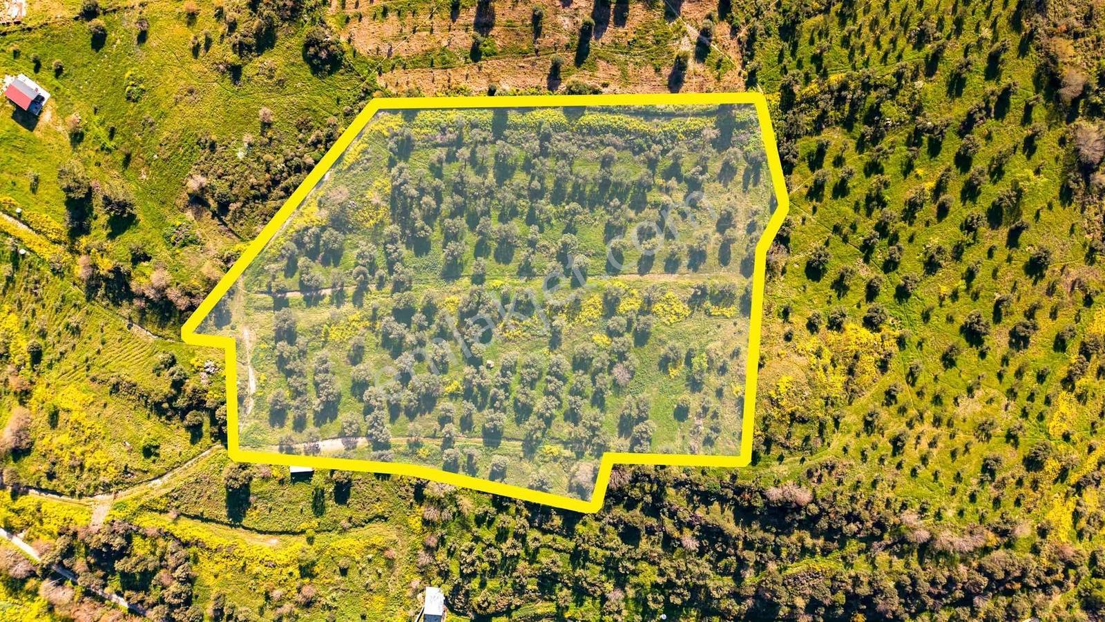 Yenifoça Satılık Villa Bölgesinde Yatırımlık Arazi - Görsel 24