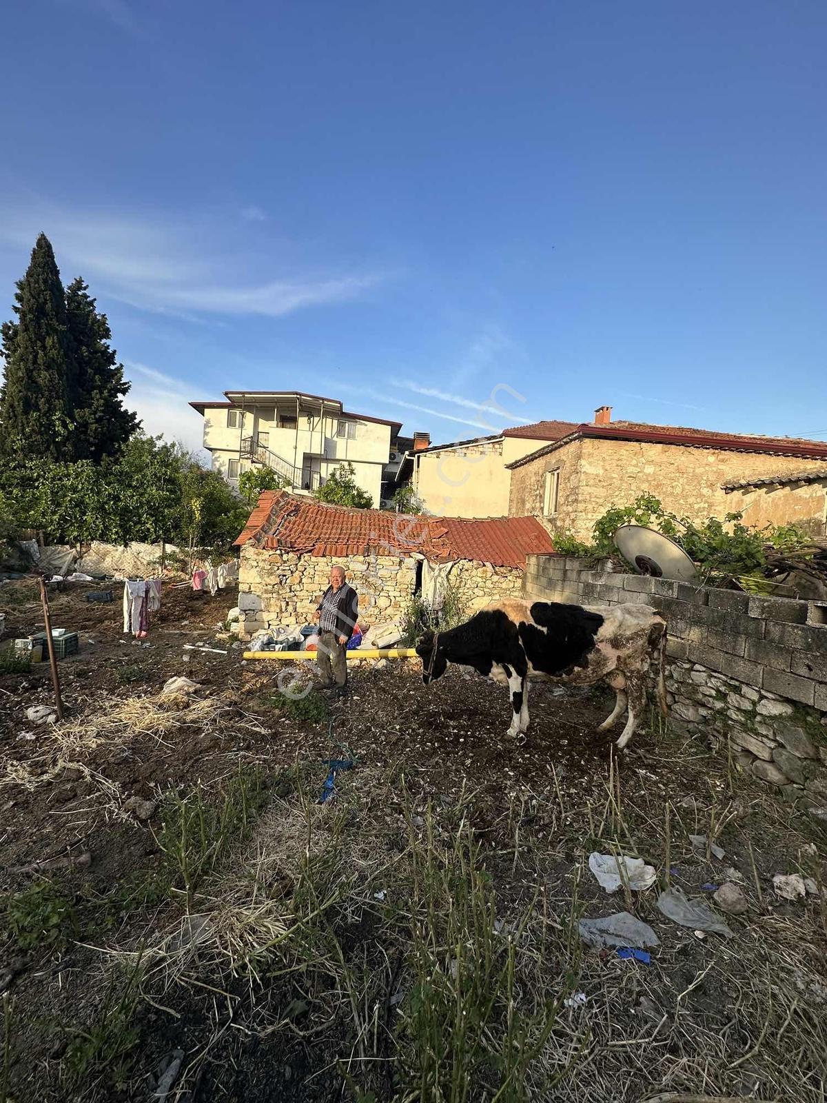 Urla Kuşçular Merkez De Satılık Taş Ev - Görsel 12