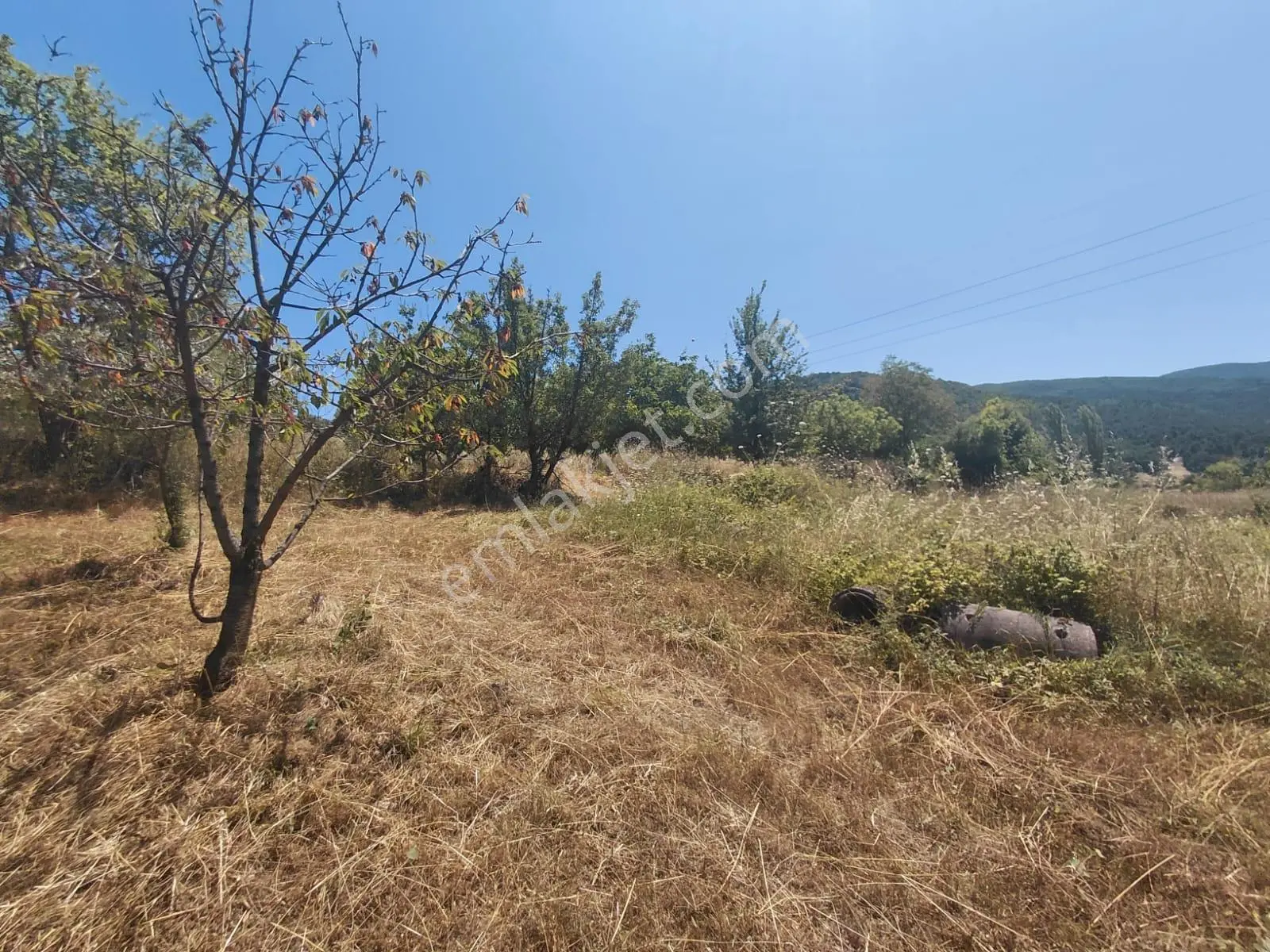 Geyve Hırka'da Meyve Ağaçlı Ve Doğa İçinde 5.278 M² Bahçe