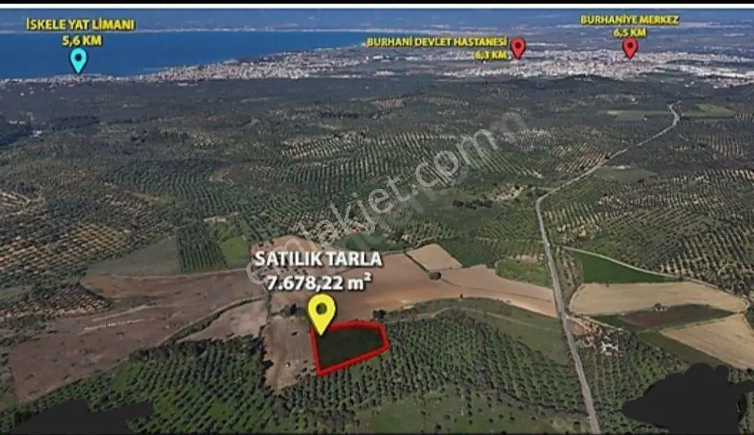 Burhaniye Şahinler'de Geniş Kullanımlı Müstakil Tapulu Tarla